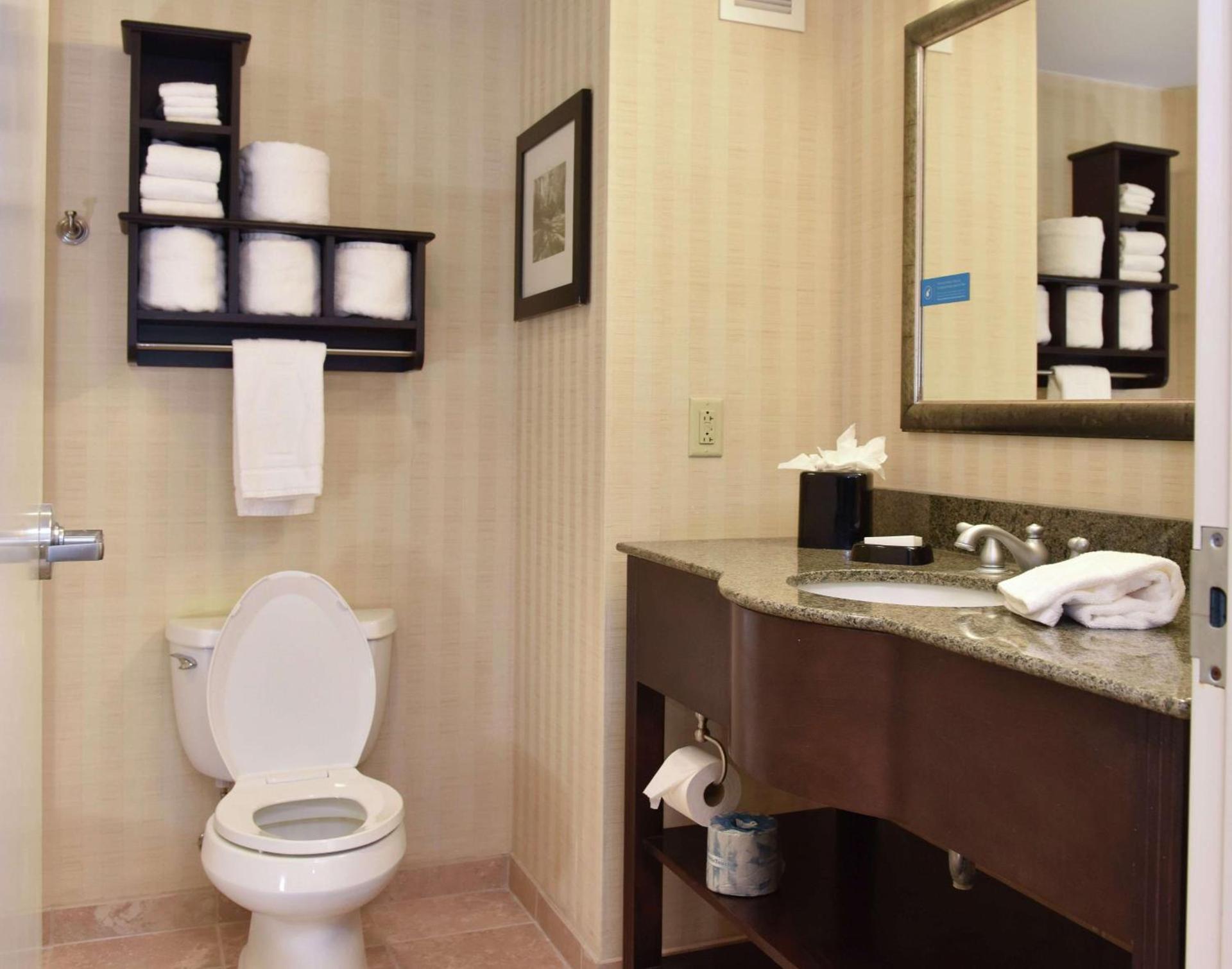 Hampton Inn & Suites Alexandria photo 32