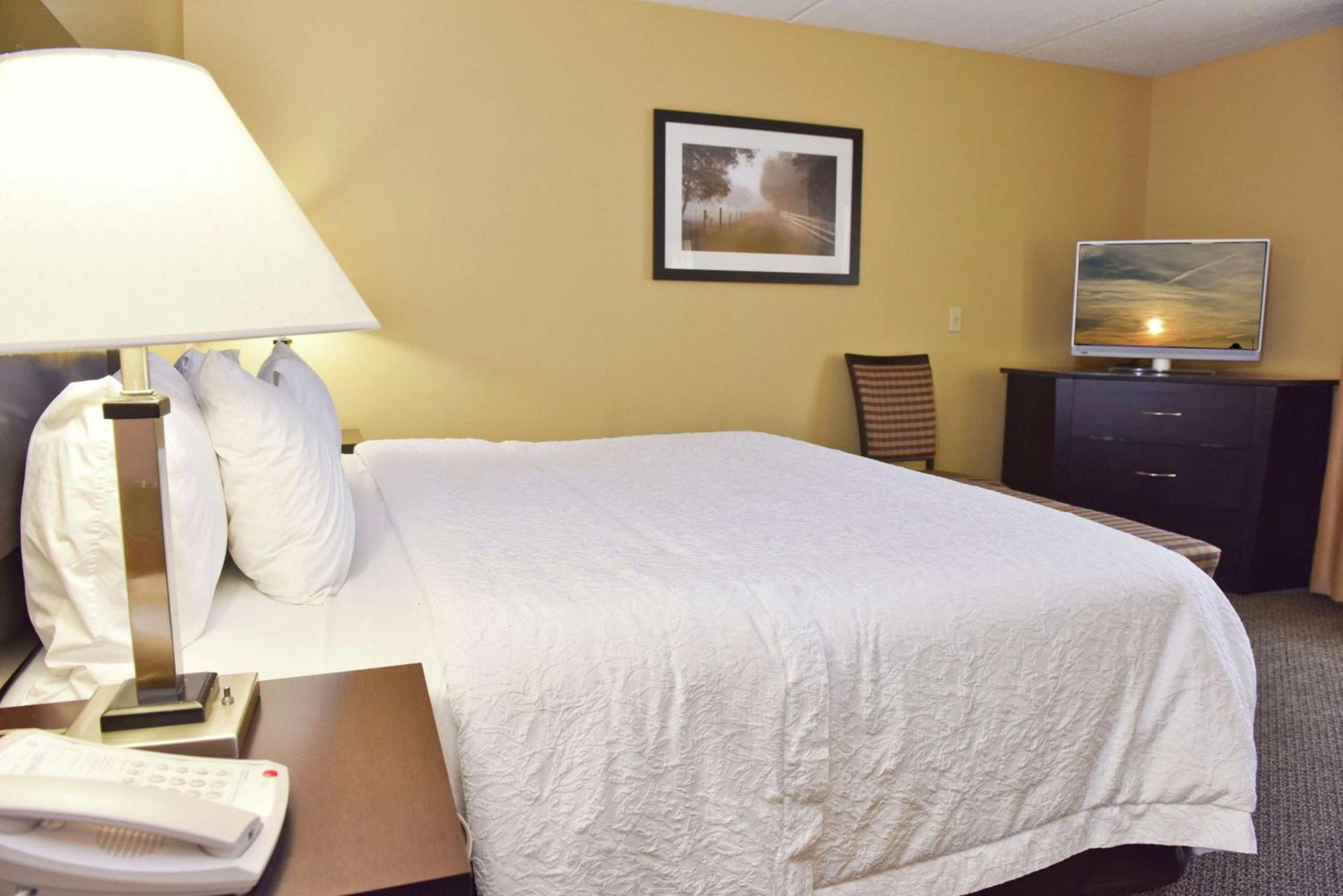 Hampton Inn & Suites Alexandria photo 46