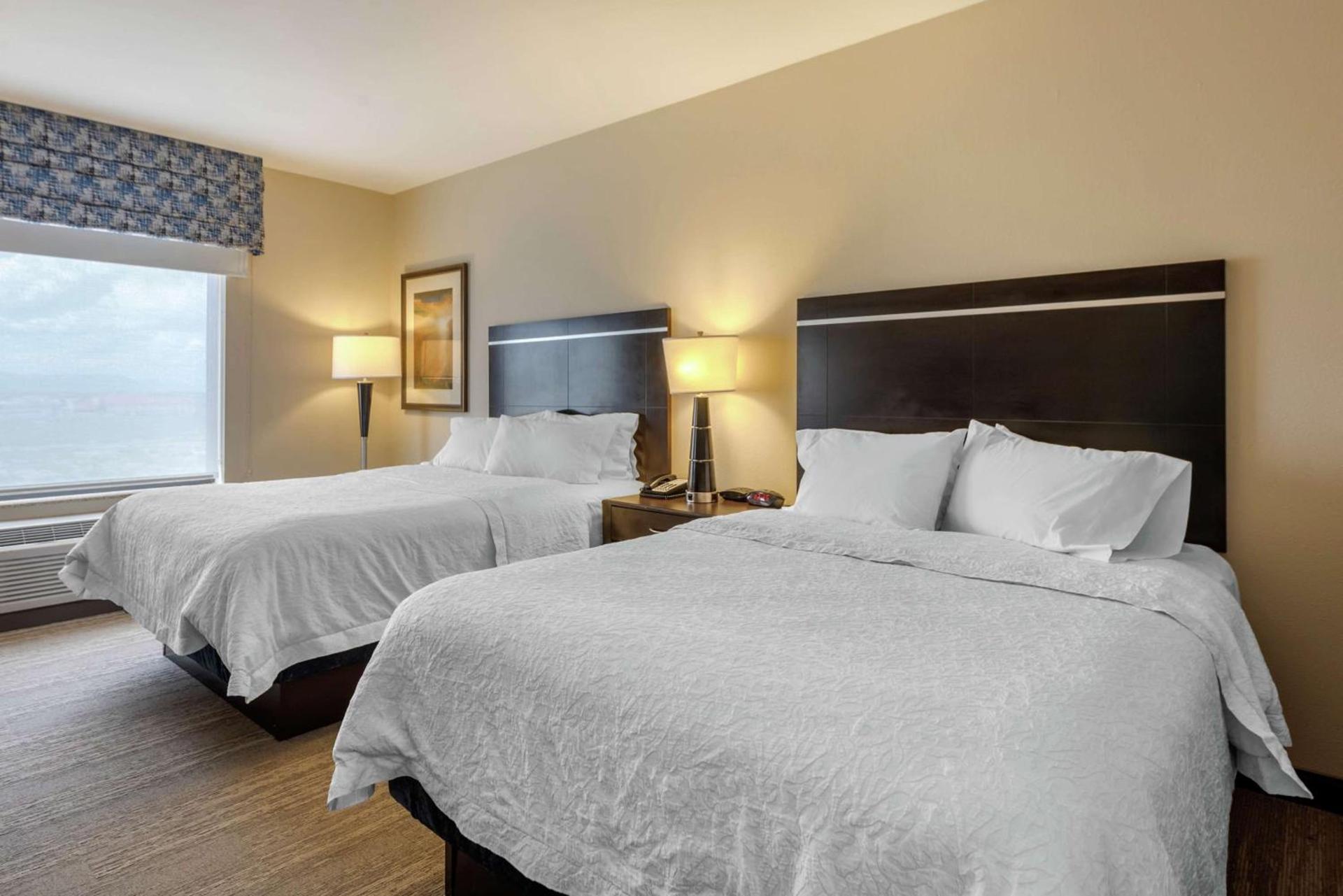 Hampton Inn Alamosa photo 10