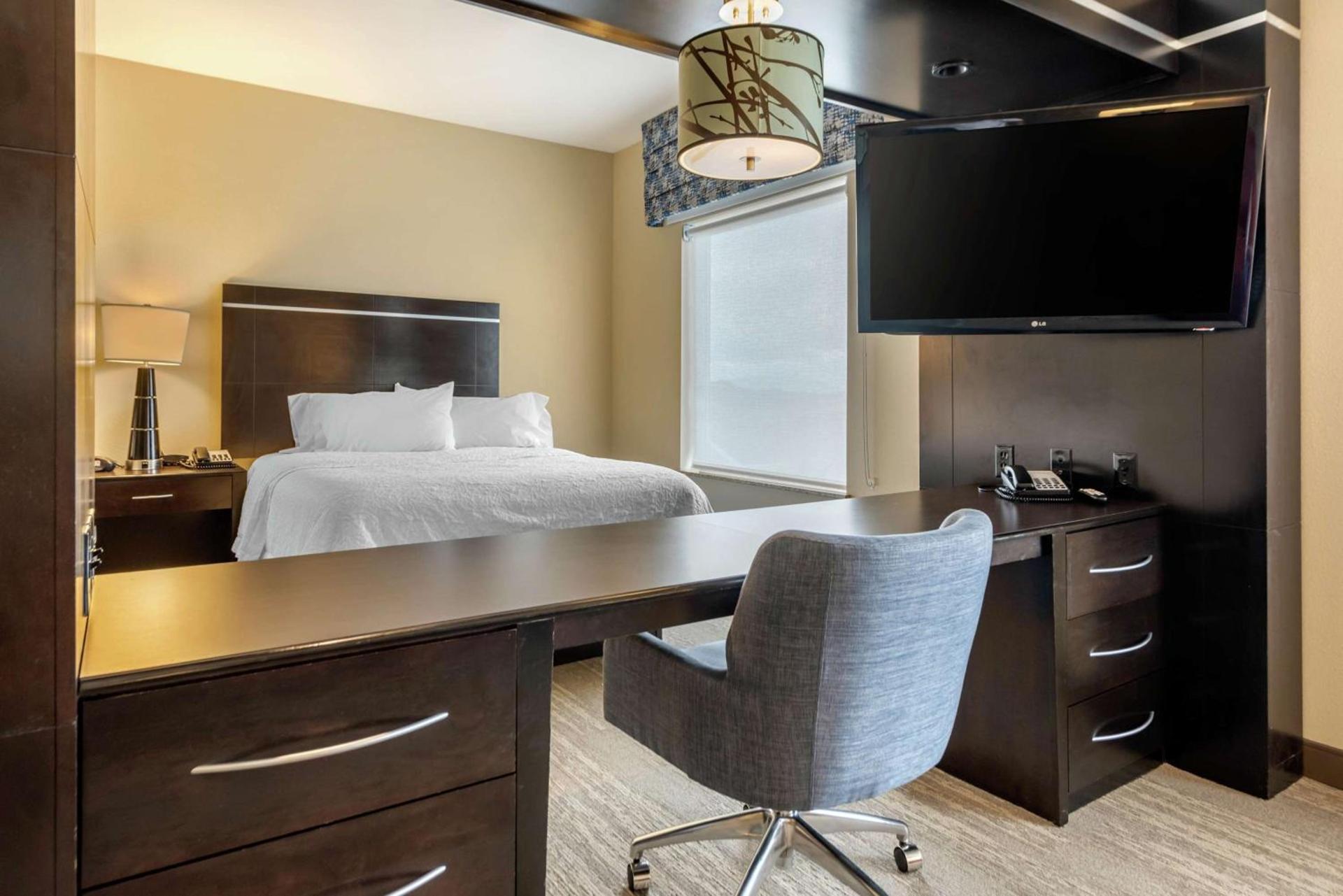 Hampton Inn Alamosa photo 13