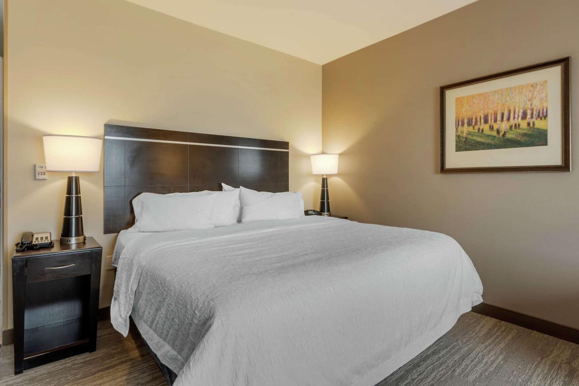 Hampton Inn Alamosa photo 14
