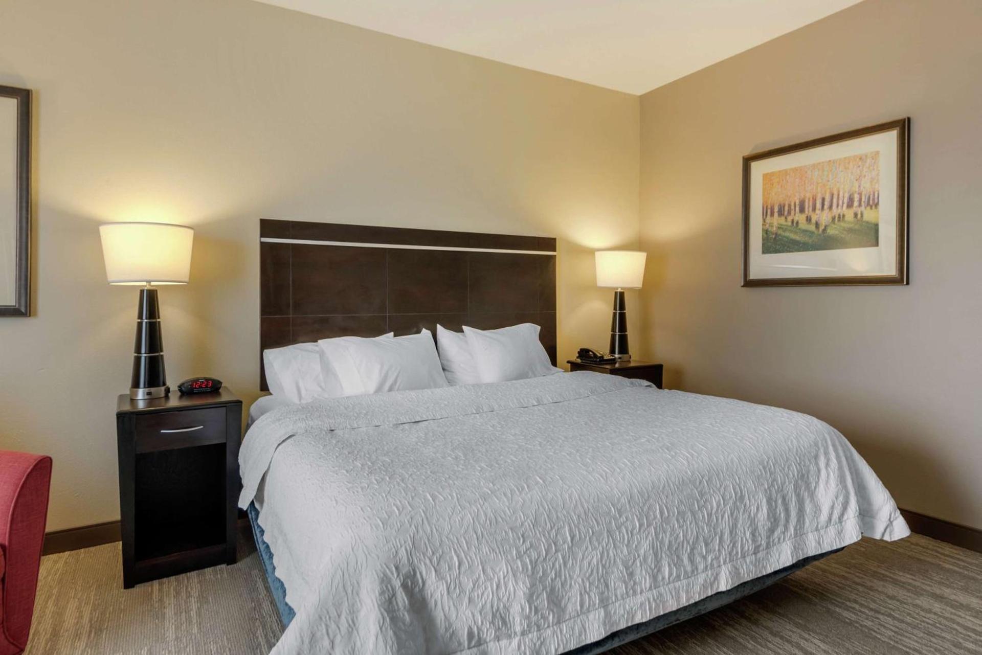 Hampton Inn Alamosa photo 35