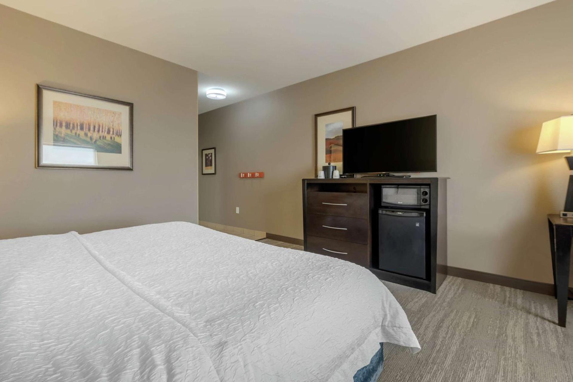 Hampton Inn Alamosa photo 43