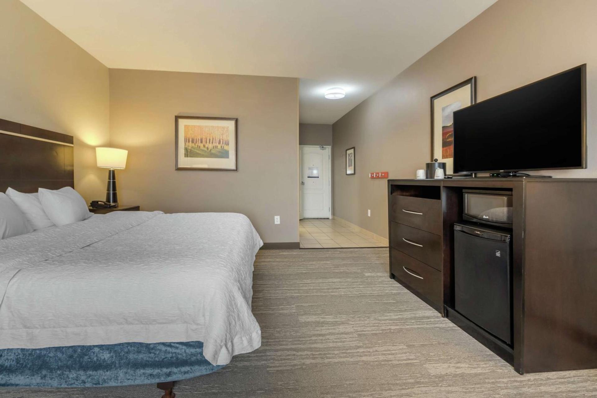 Hampton Inn Alamosa photo 44