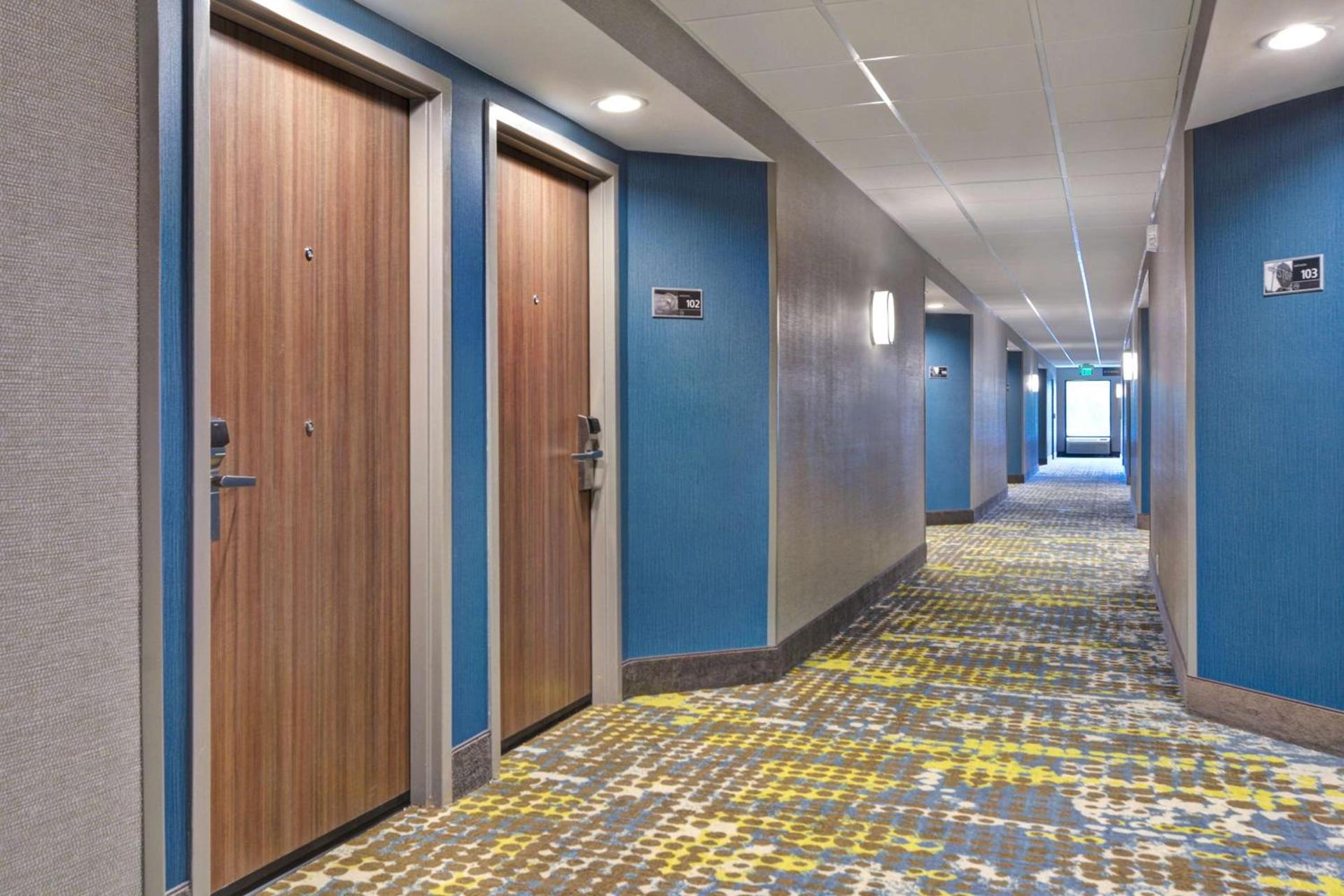 Hampton Inn Anderson photo 52