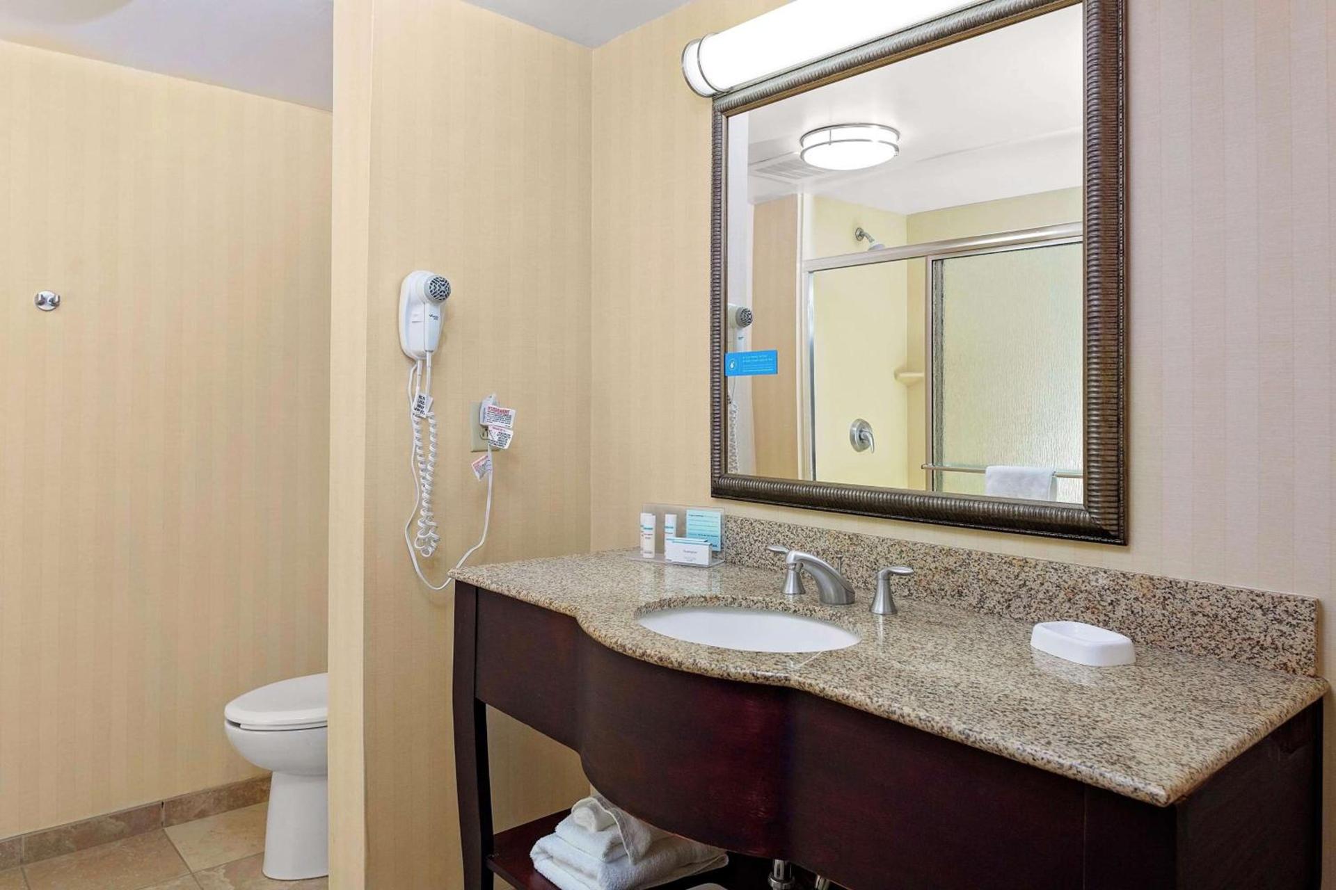 Hampton Inn Atlanta-Fairburn photo 37
