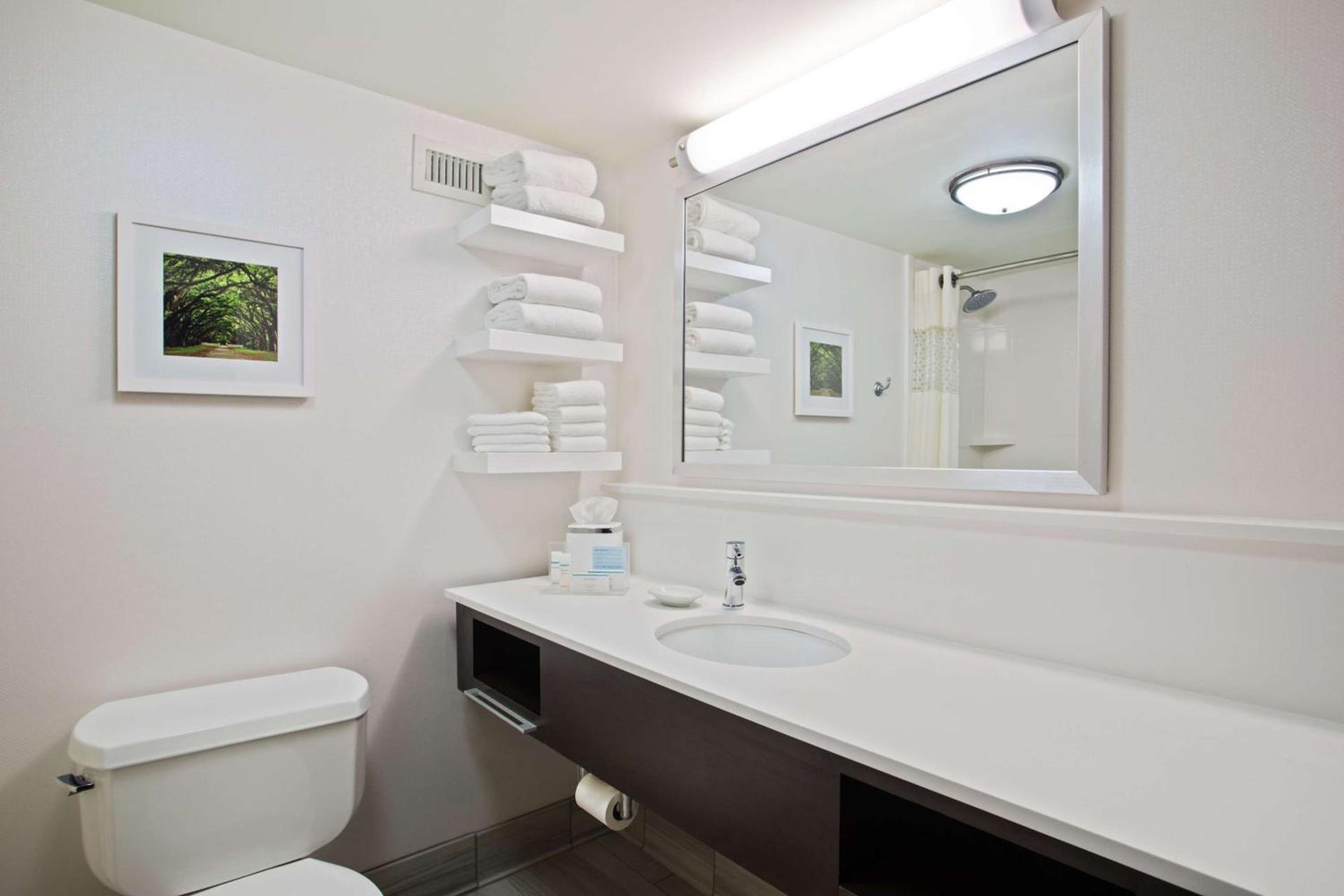 Hampton Inn & Suites Atlanta/Duluth/Gwinnett photo 22