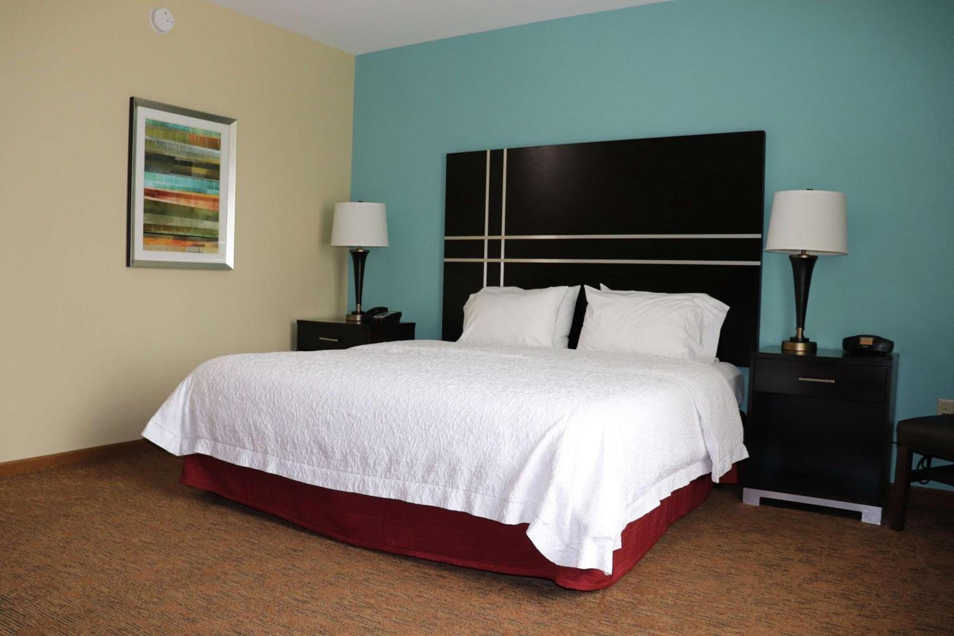 Hampton Inn Austin Oak Hill photo 23