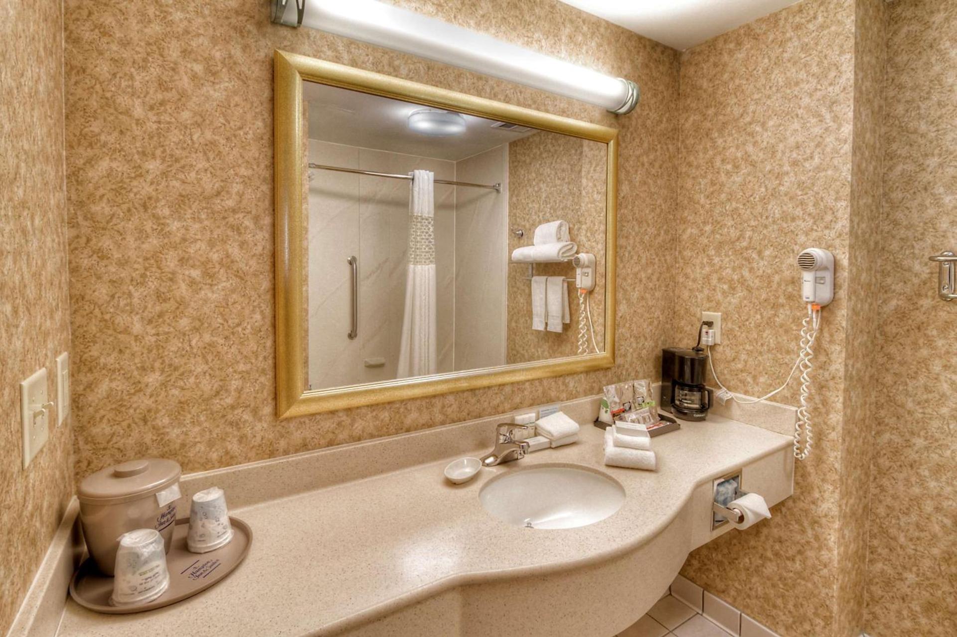 Hampton Inn & Suites Kalamazoo-Oshtemo photo 34