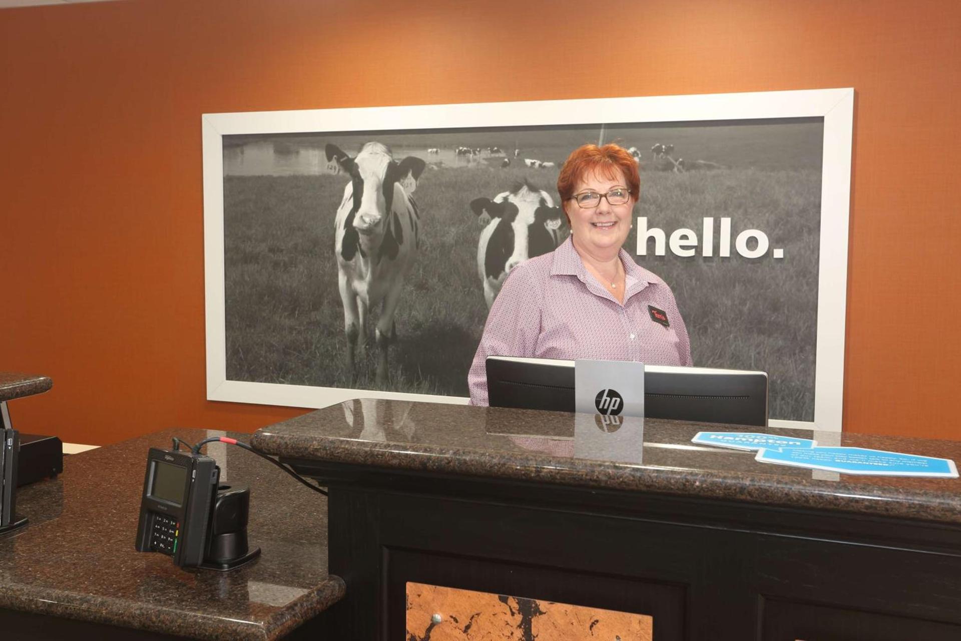 Hampton Inn Owego photo 4