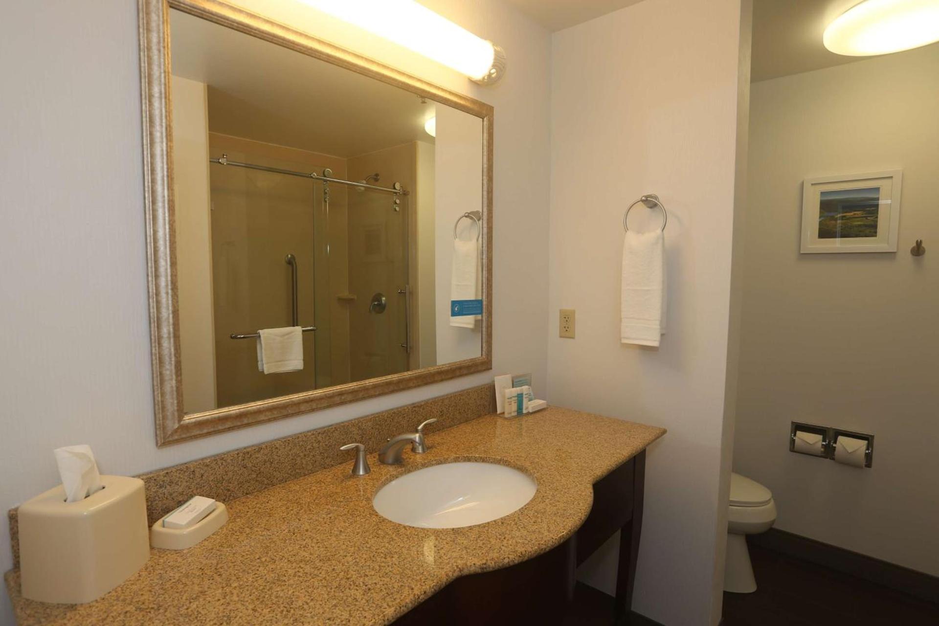Hampton Inn Owego photo 22