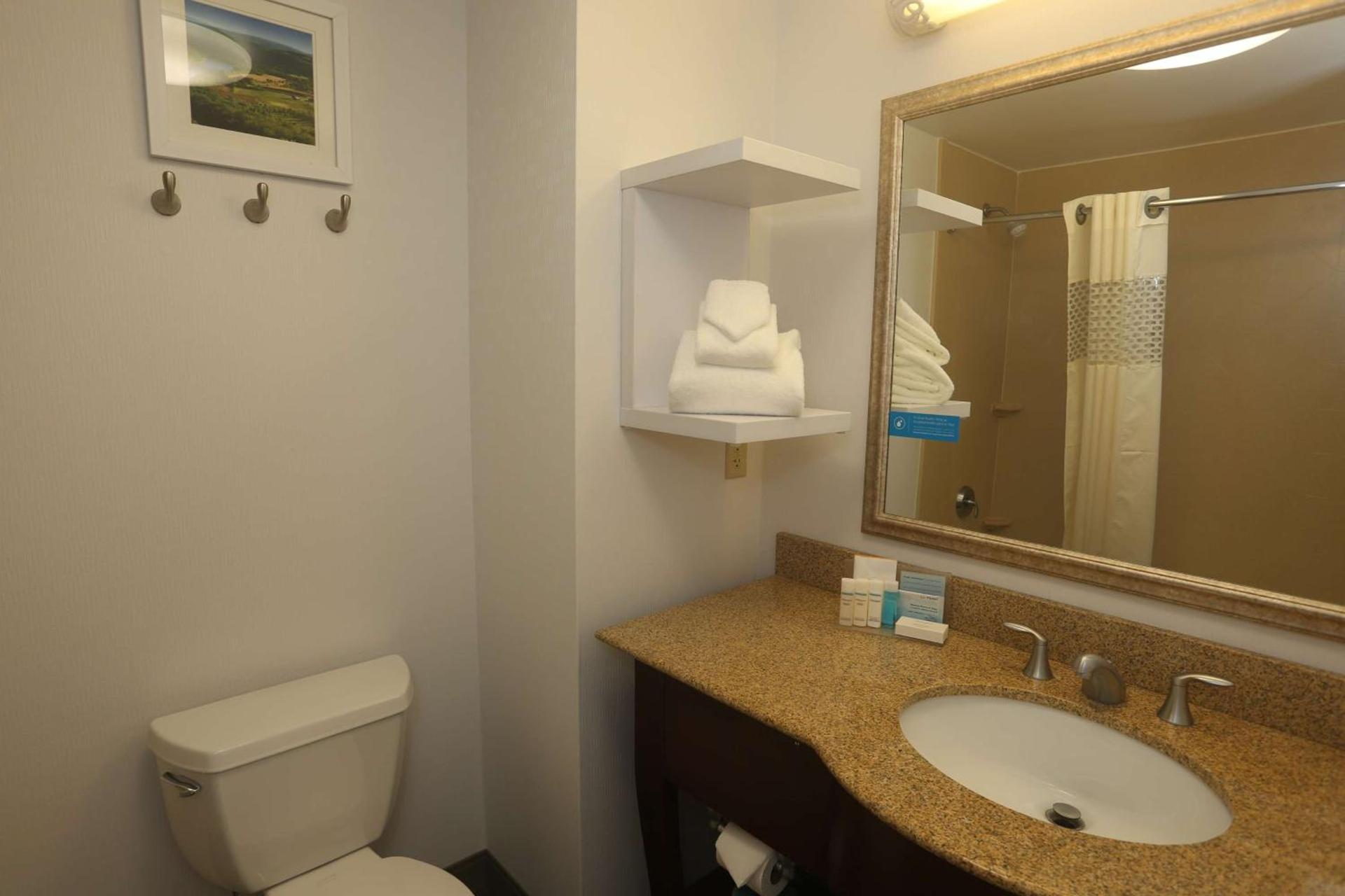 Hampton Inn Owego photo 24