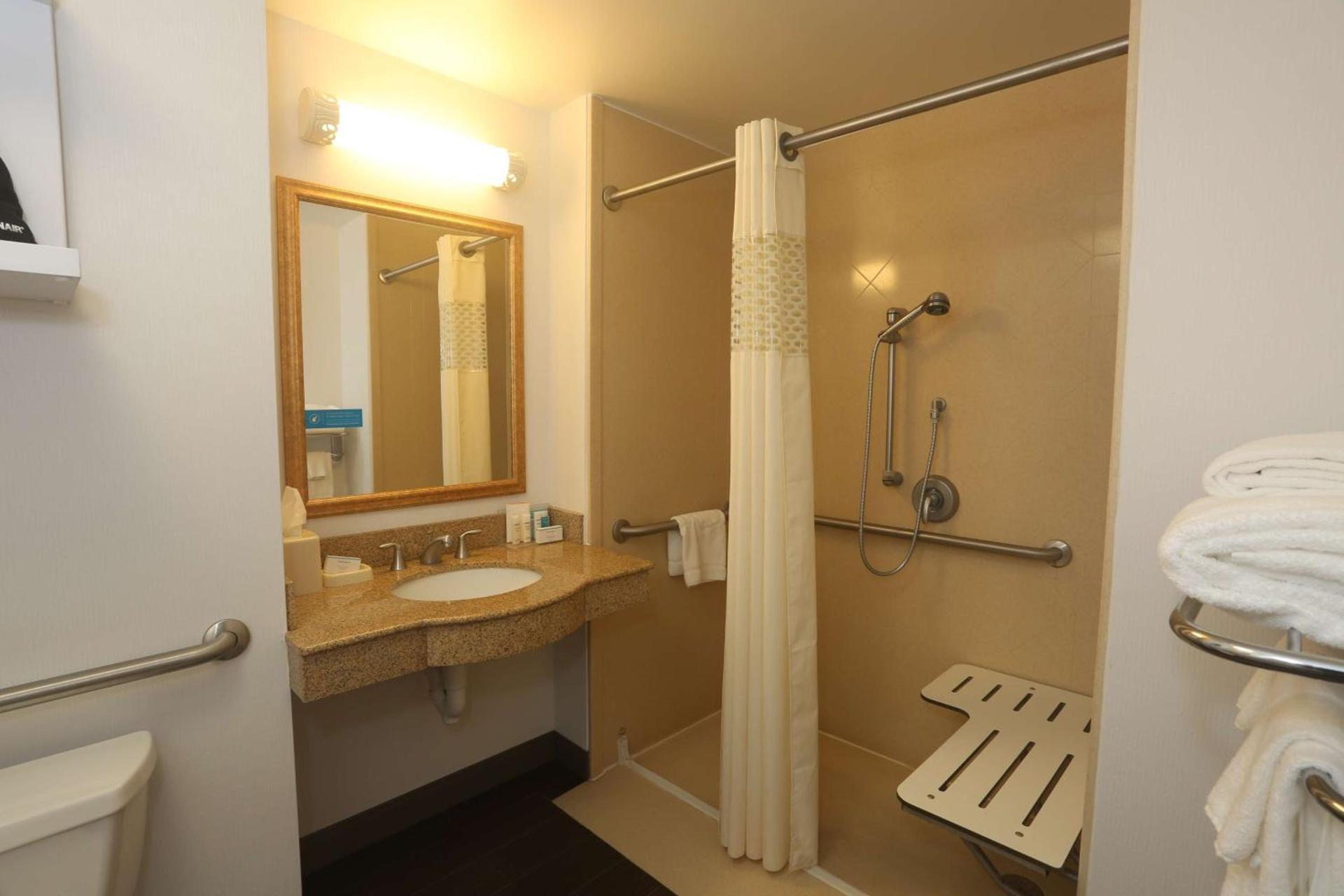 Hampton Inn Owego photo 25
