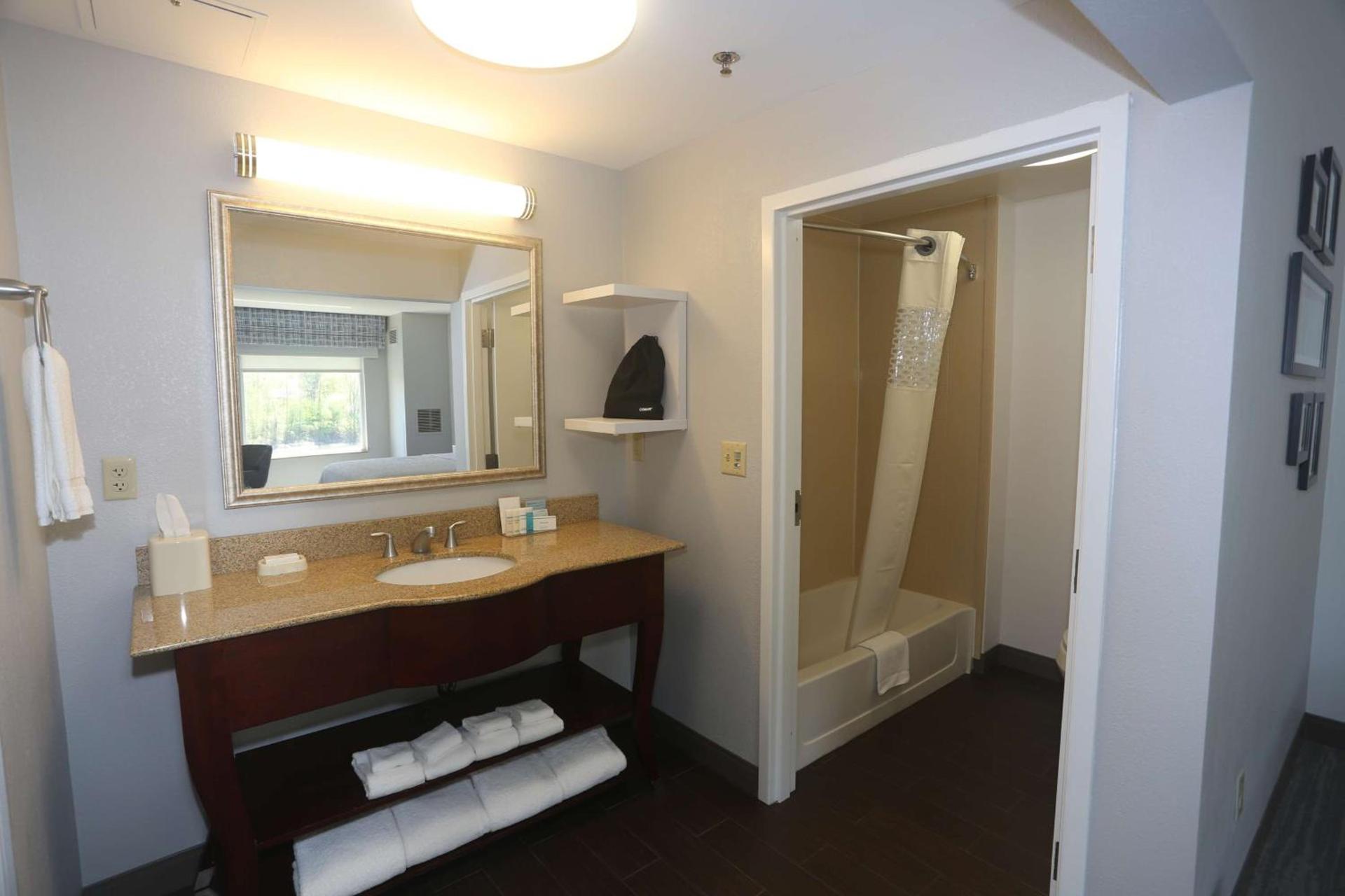 Hampton Inn Owego photo 28