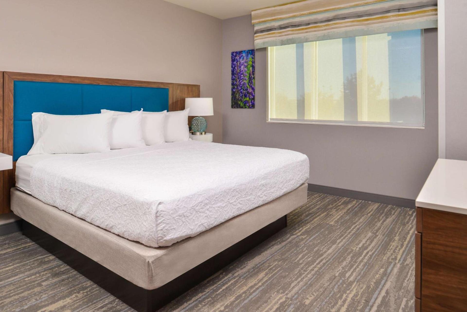 Hampton Inn & Suites Boise/Spectrum photo 77