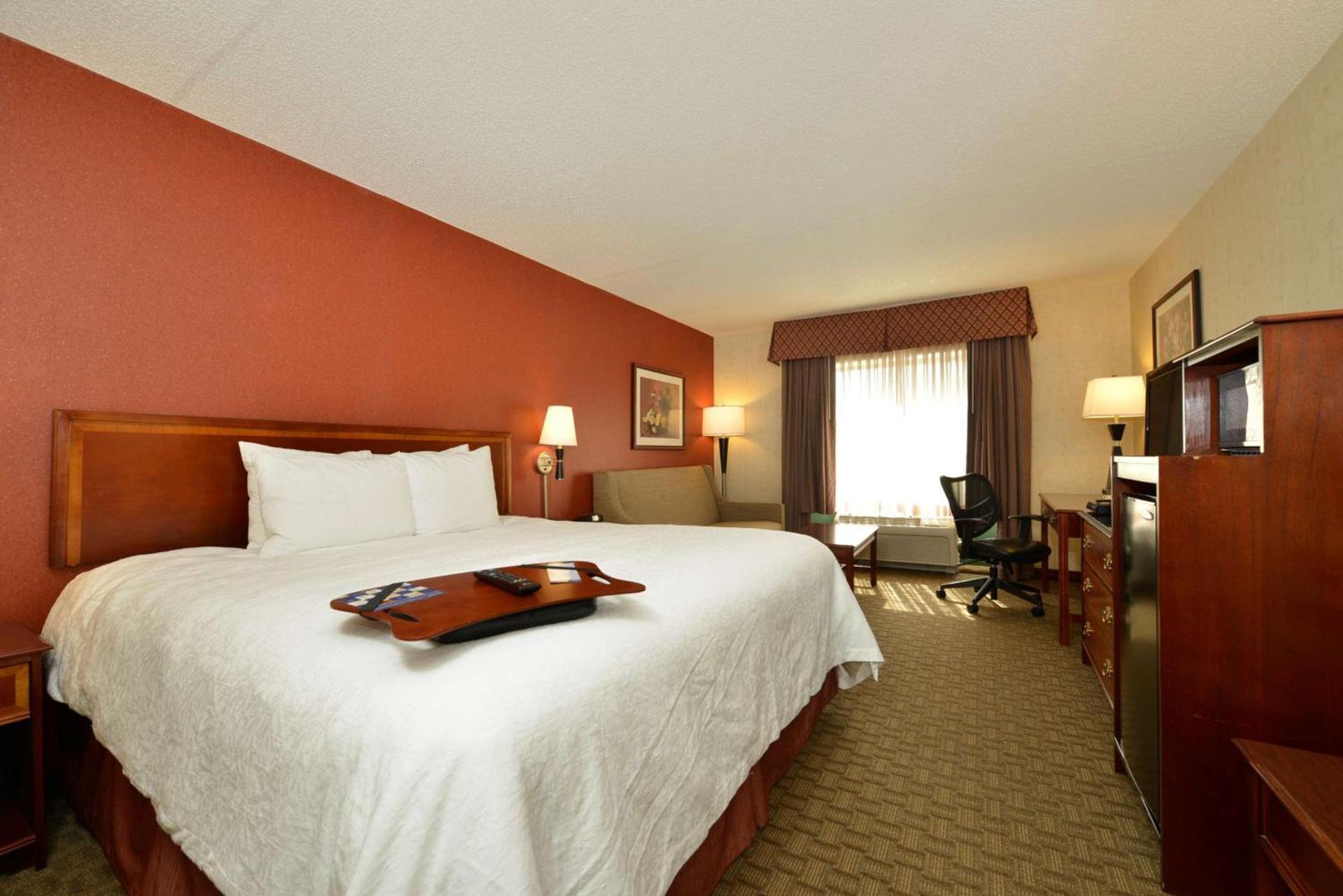 Hampton Inn East Aurora photo 22