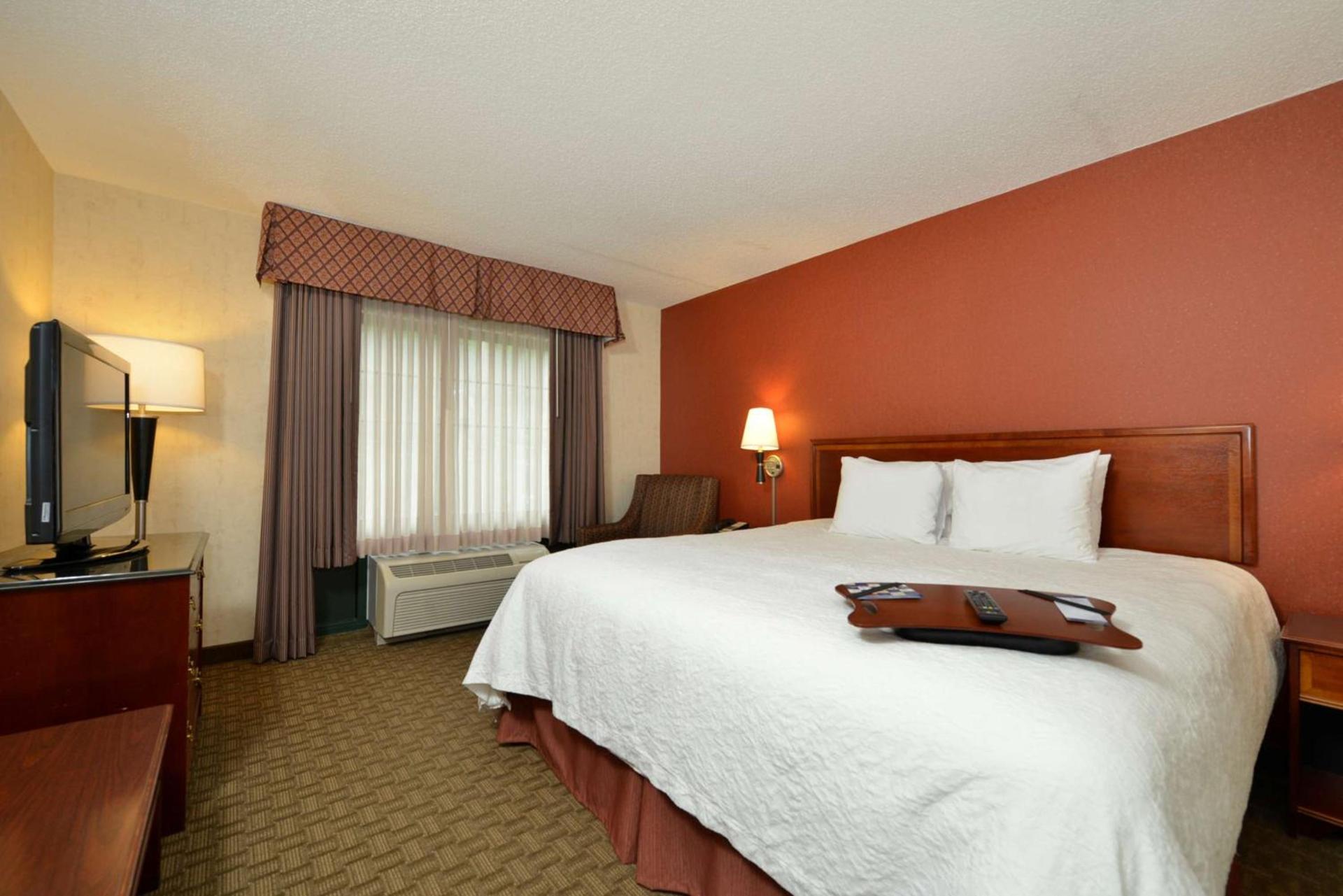Hampton Inn East Aurora photo 21