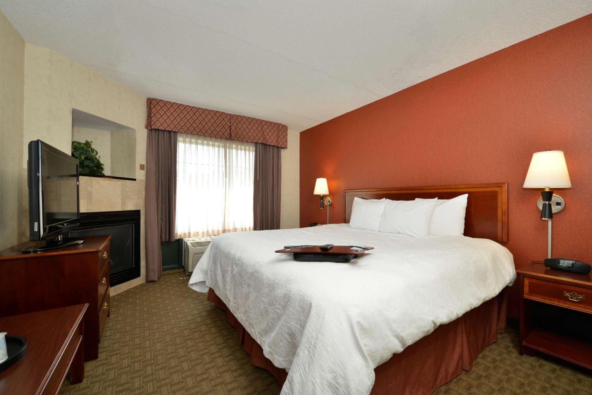 Hampton Inn East Aurora photo 41