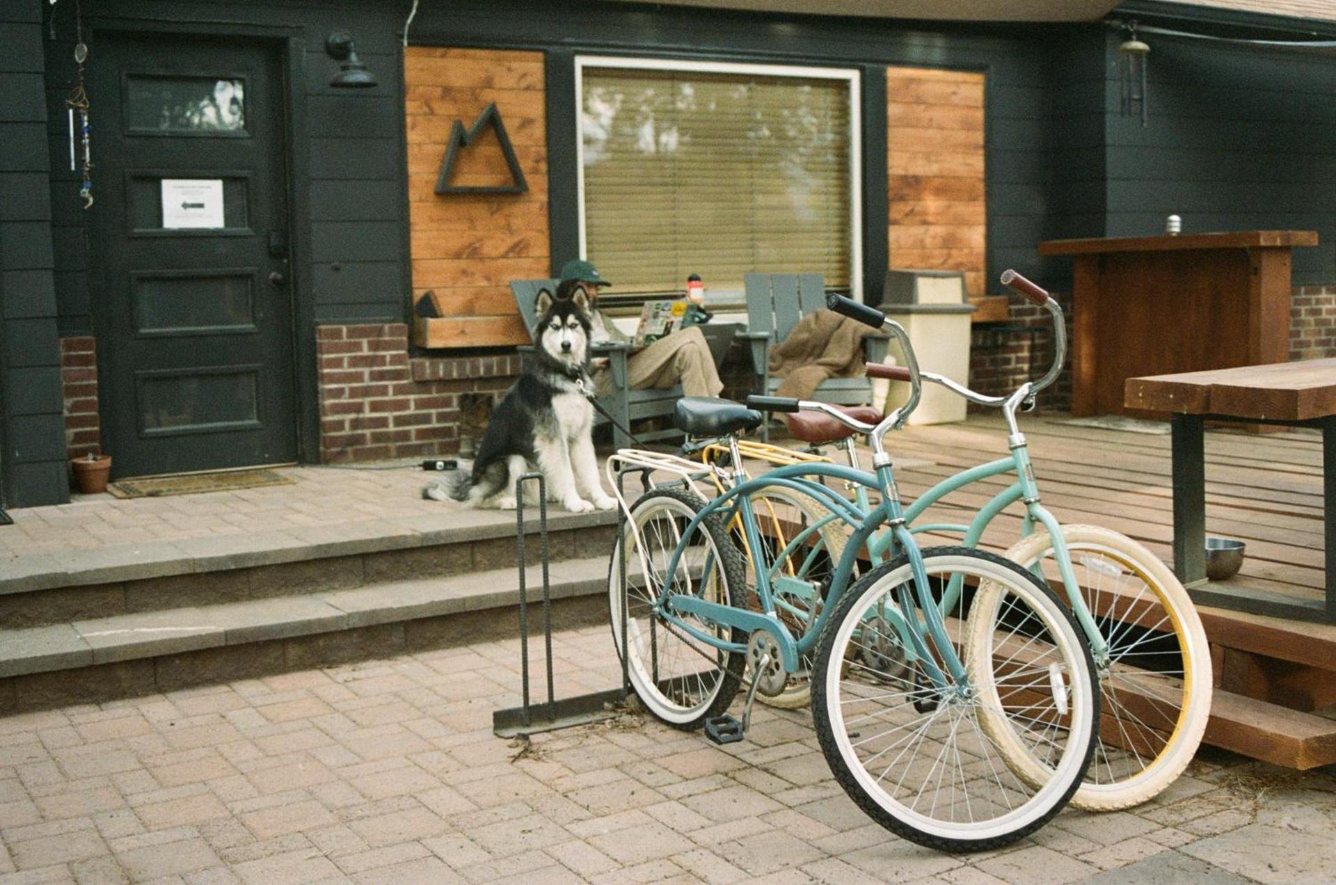 The Stranger Lodge - Pet Friendly photo 29