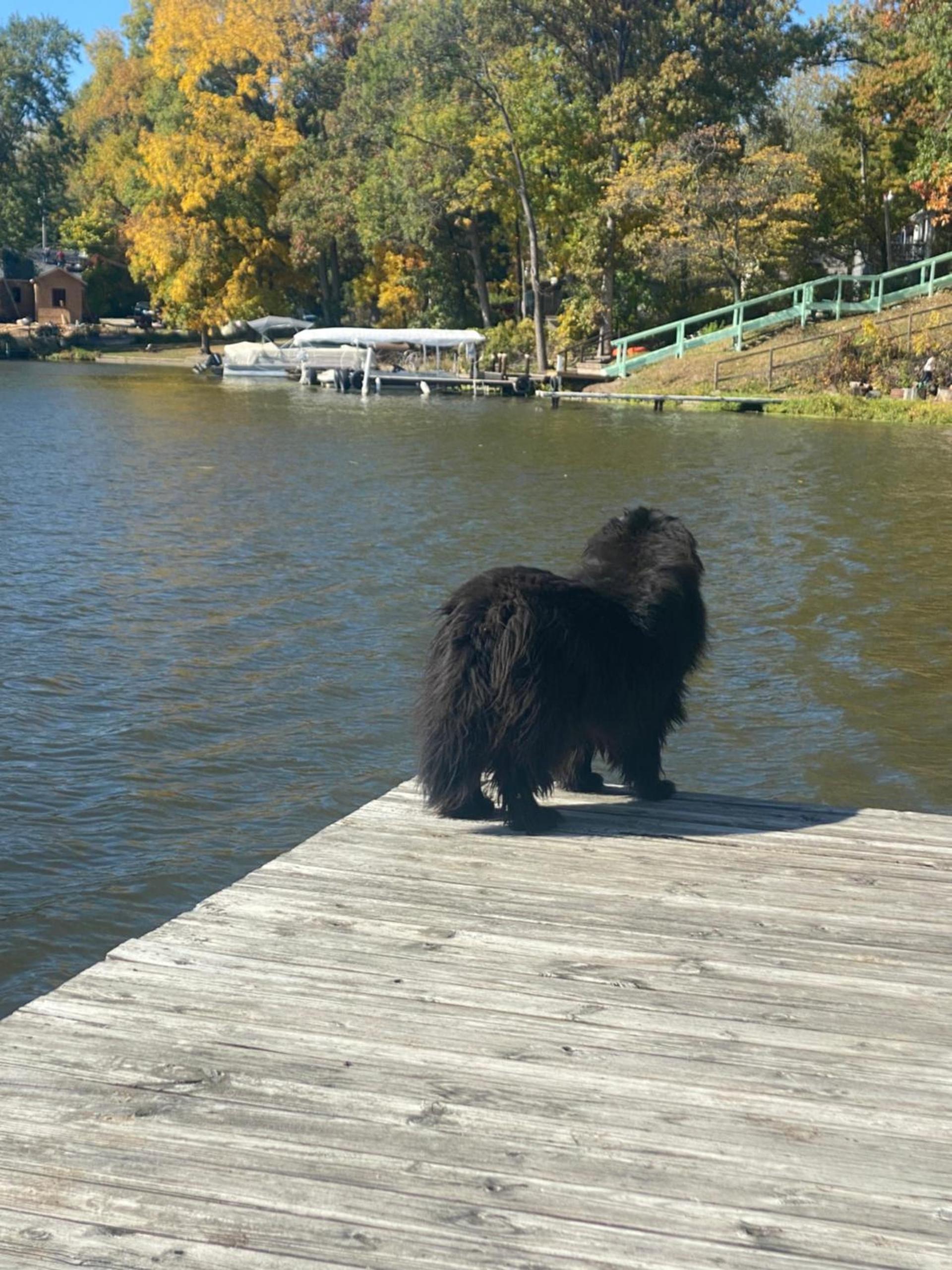 Lake Shafer Resort photo 33