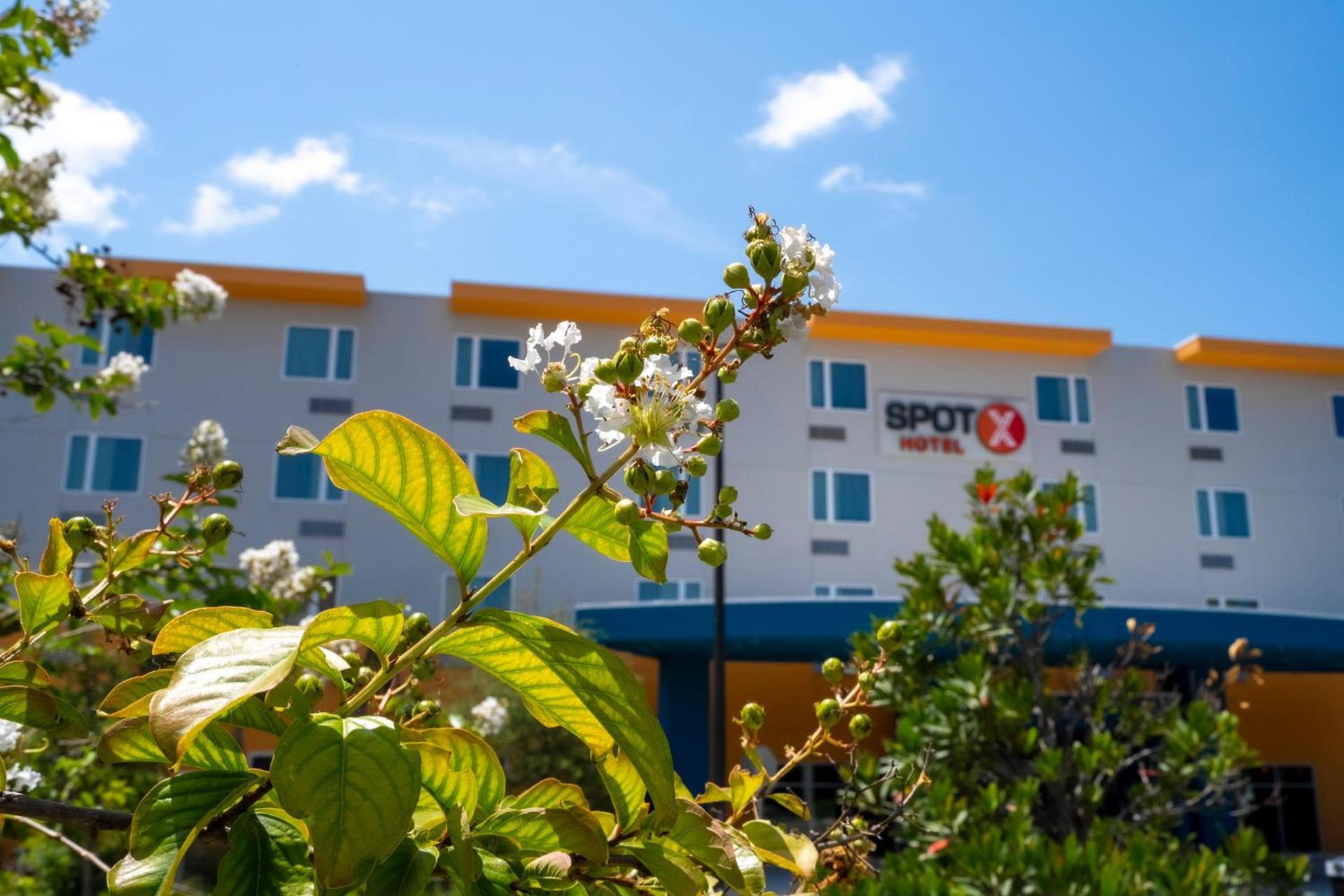 SPOT X Hotel Orlando Intl Dr by The Red Collection photo 22