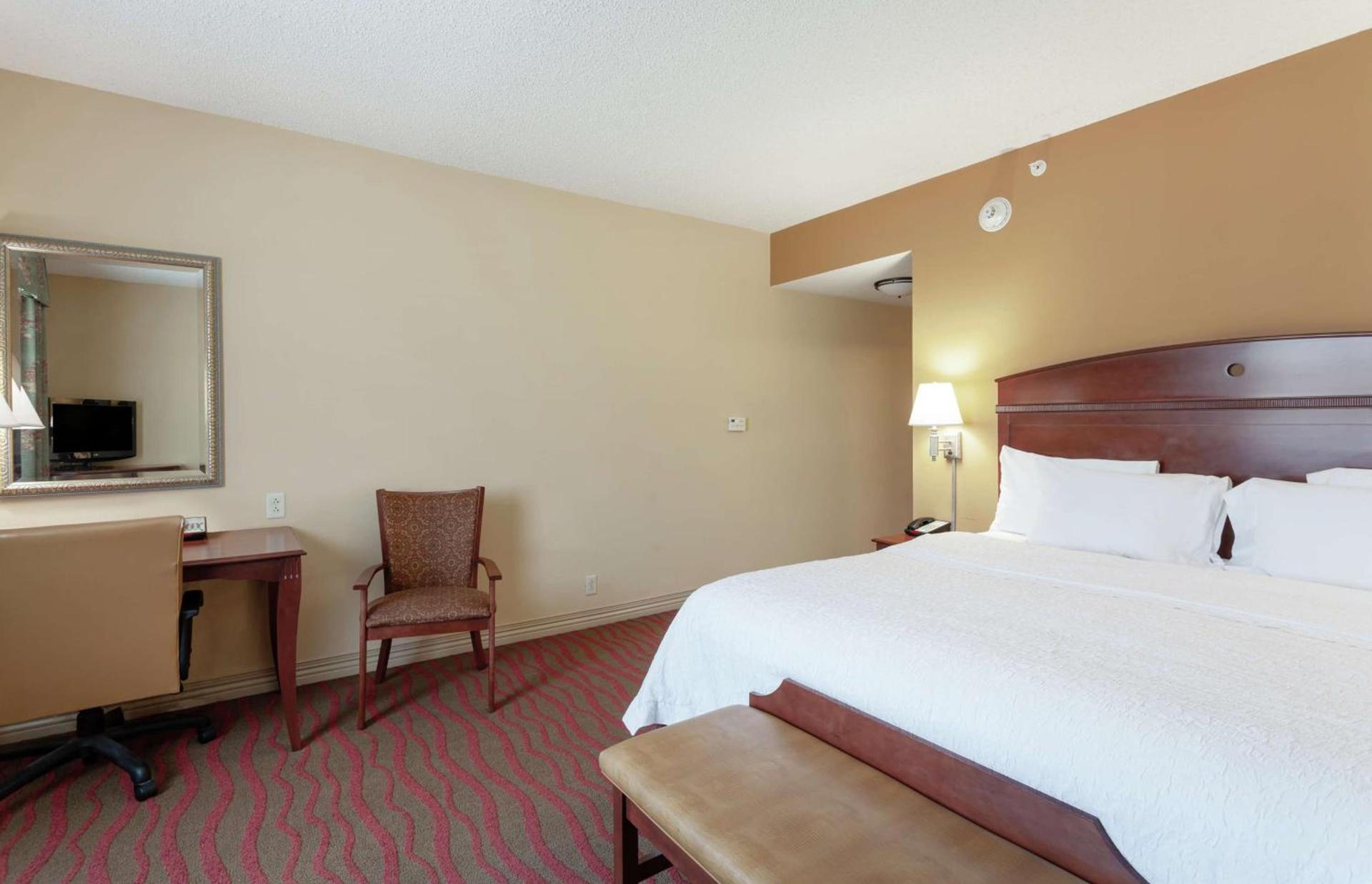 Hampton Inn & Suites Port Richey photo 4