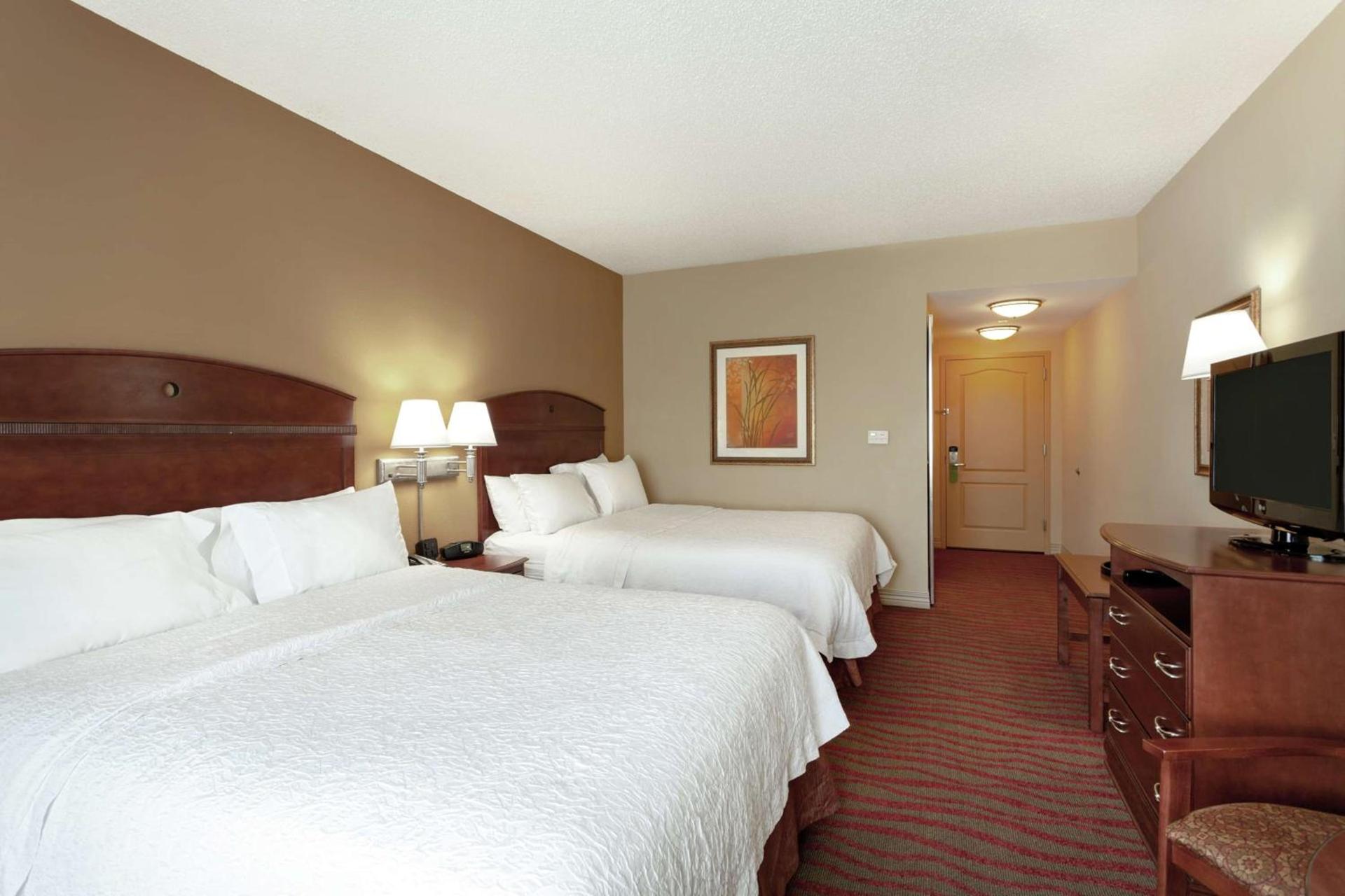 Hampton Inn & Suites Port Richey photo 27