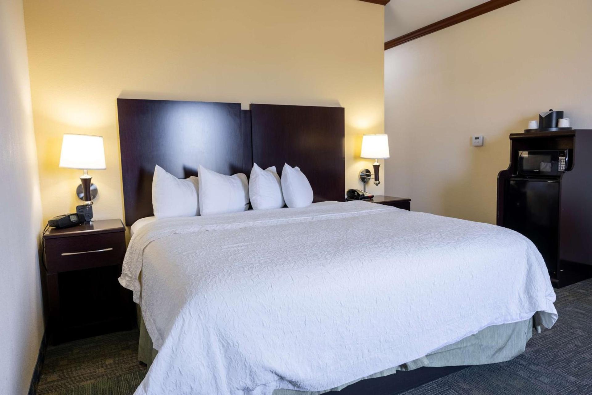 Hampton Inn Alice photo 25