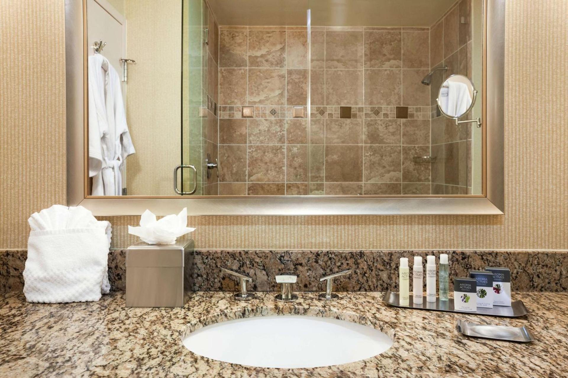 DoubleTree by Hilton Hotel Dallas - Love Field photo 33