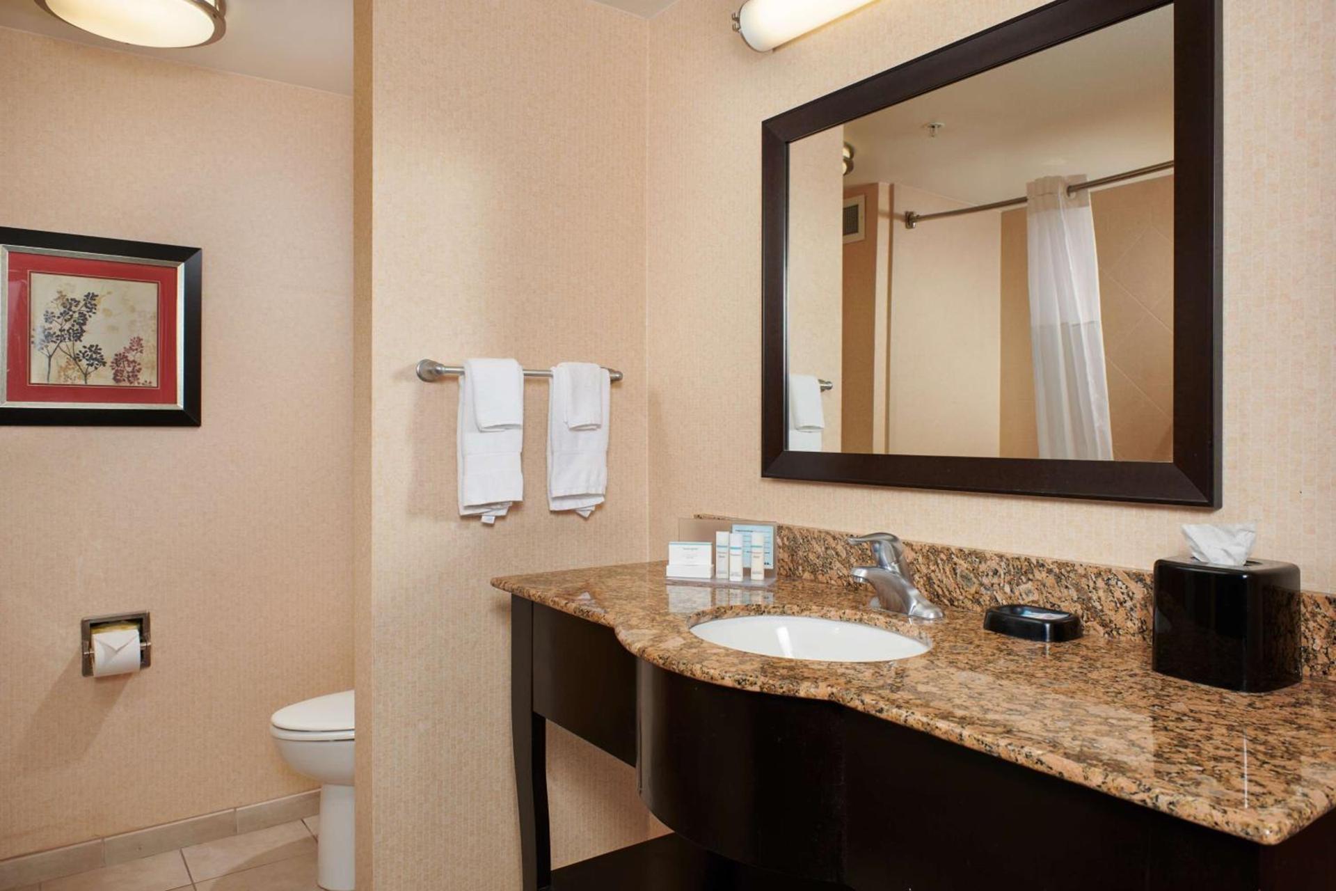 Hampton Inn & Suites Denver/Highlands Ranch photo 42