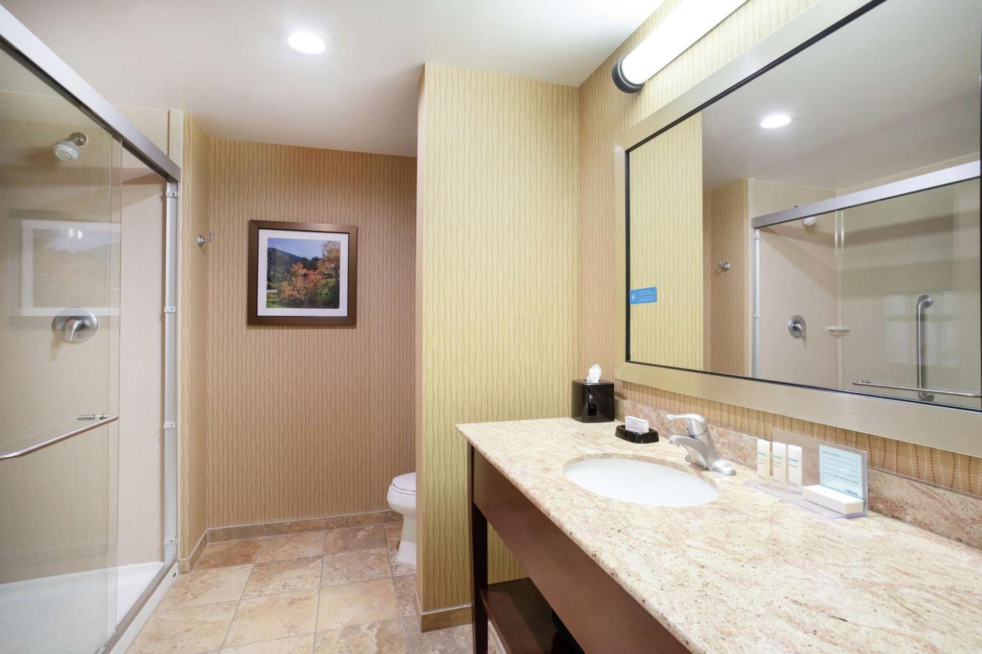 Hampton Inn and Suites Denver/South-RidgeGate photo 13