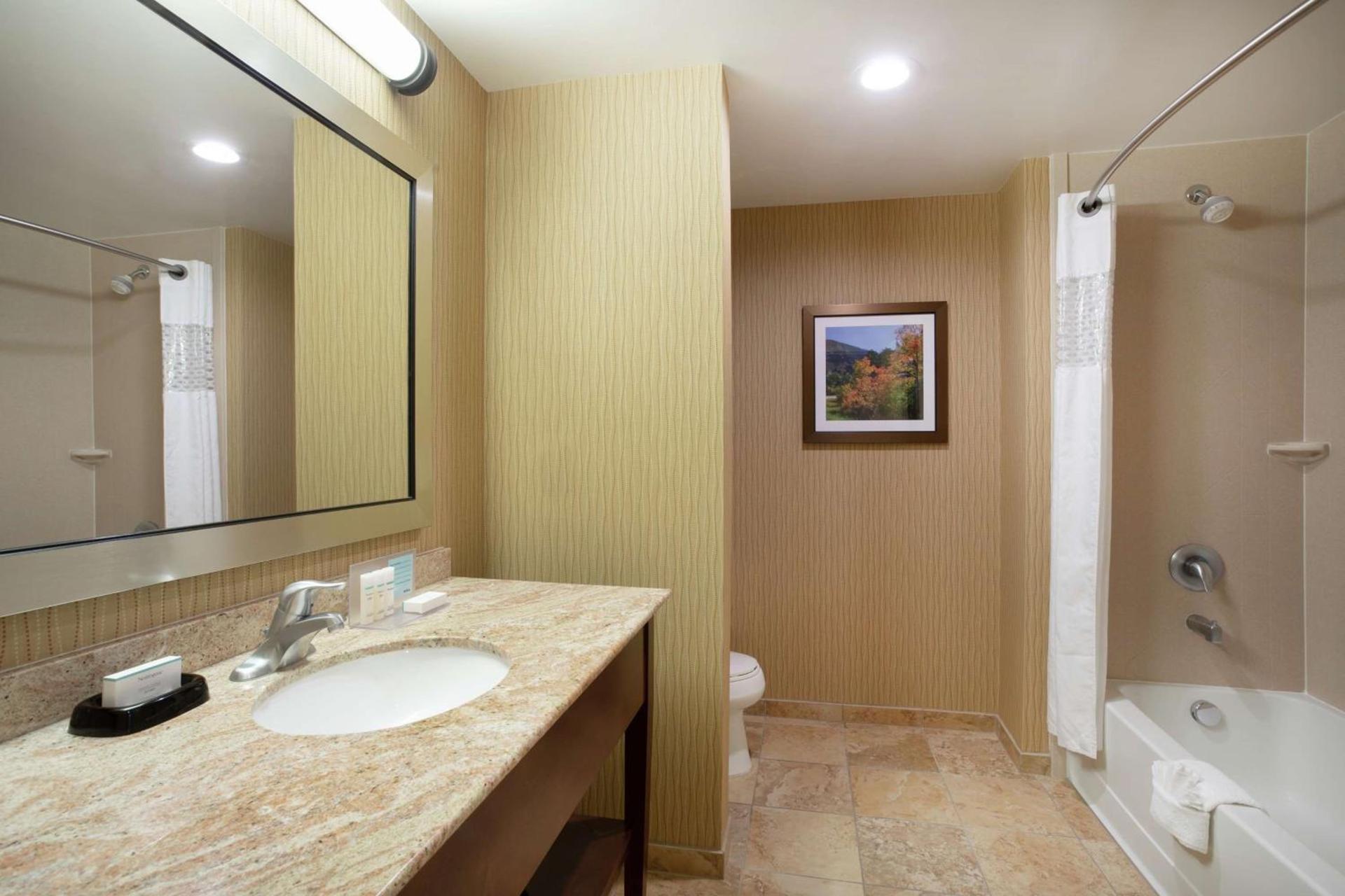 Hampton Inn and Suites Denver/South-RidgeGate photo 22