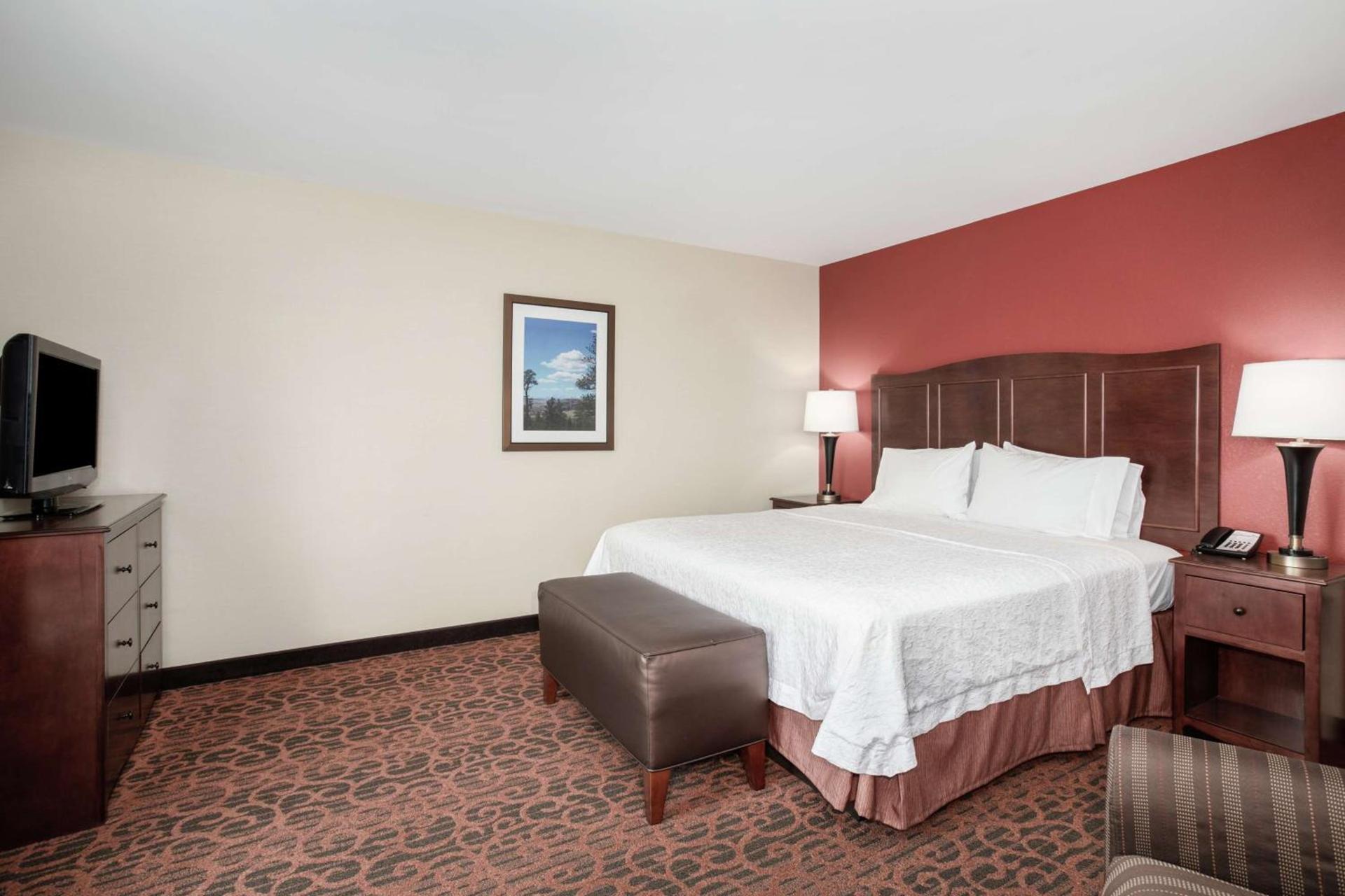 Hampton Inn and Suites Denver/South-RidgeGate photo 54