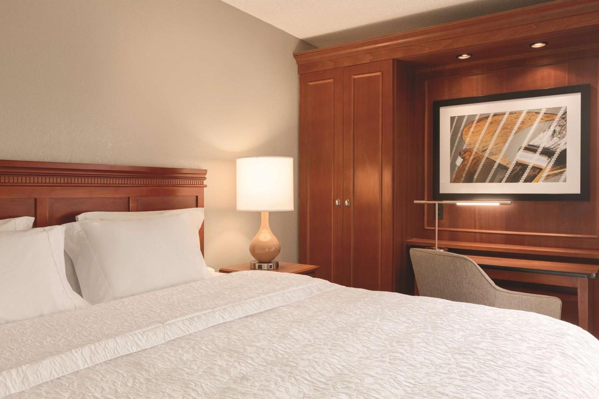 Hampton Inn Des Moines-Airport photo 14