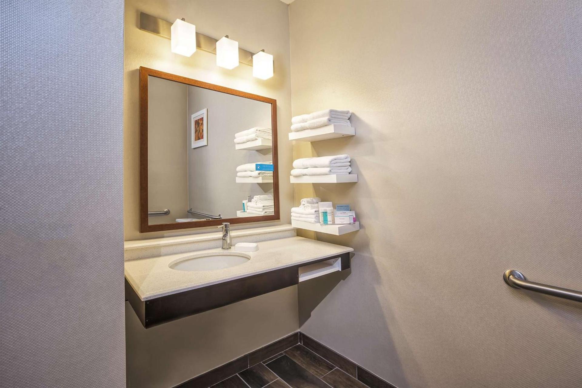 Hampton Inn Detroit/Belleville-Airport Area photo 10