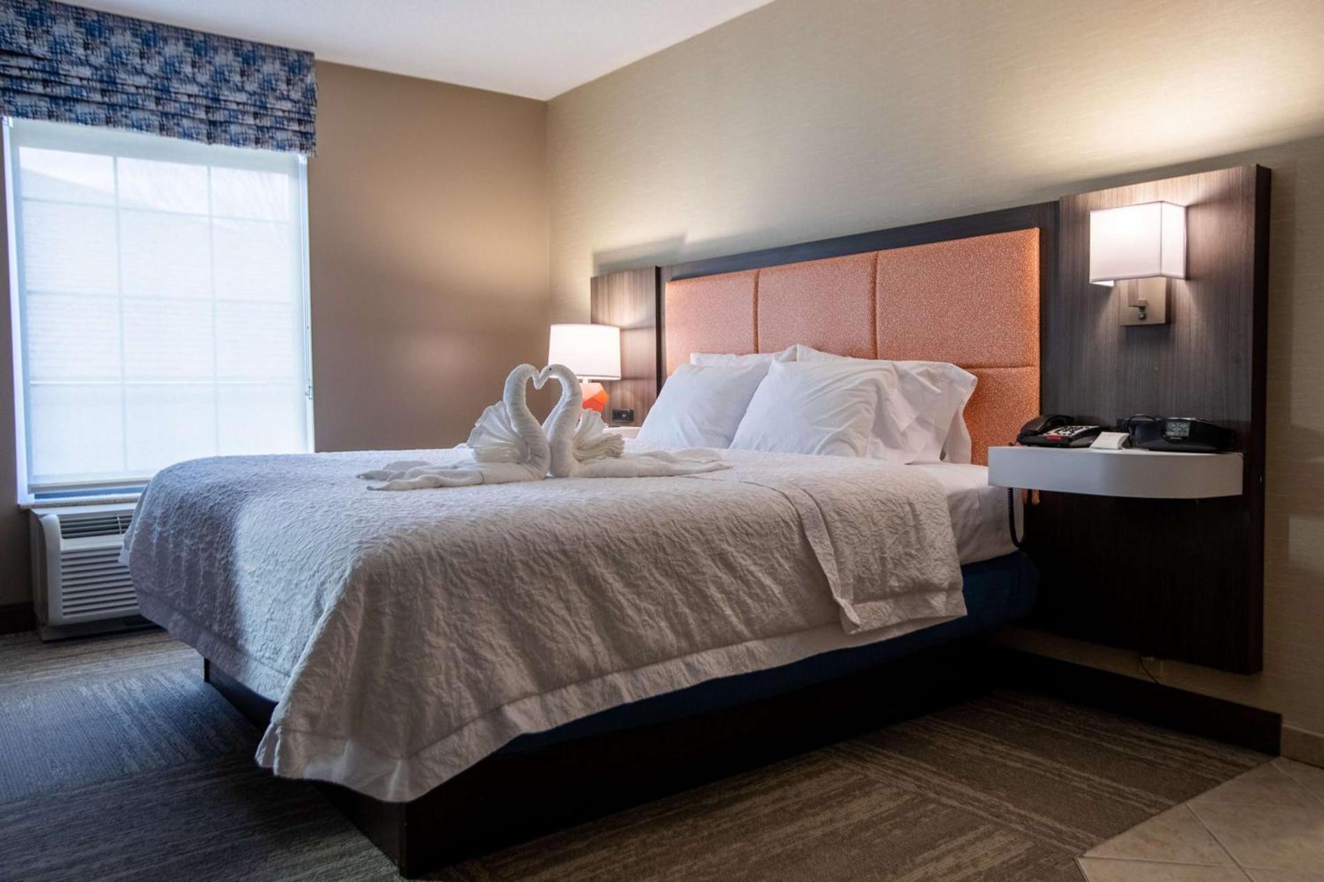 Hampton Inn Hadley-Amherst Area photo 19