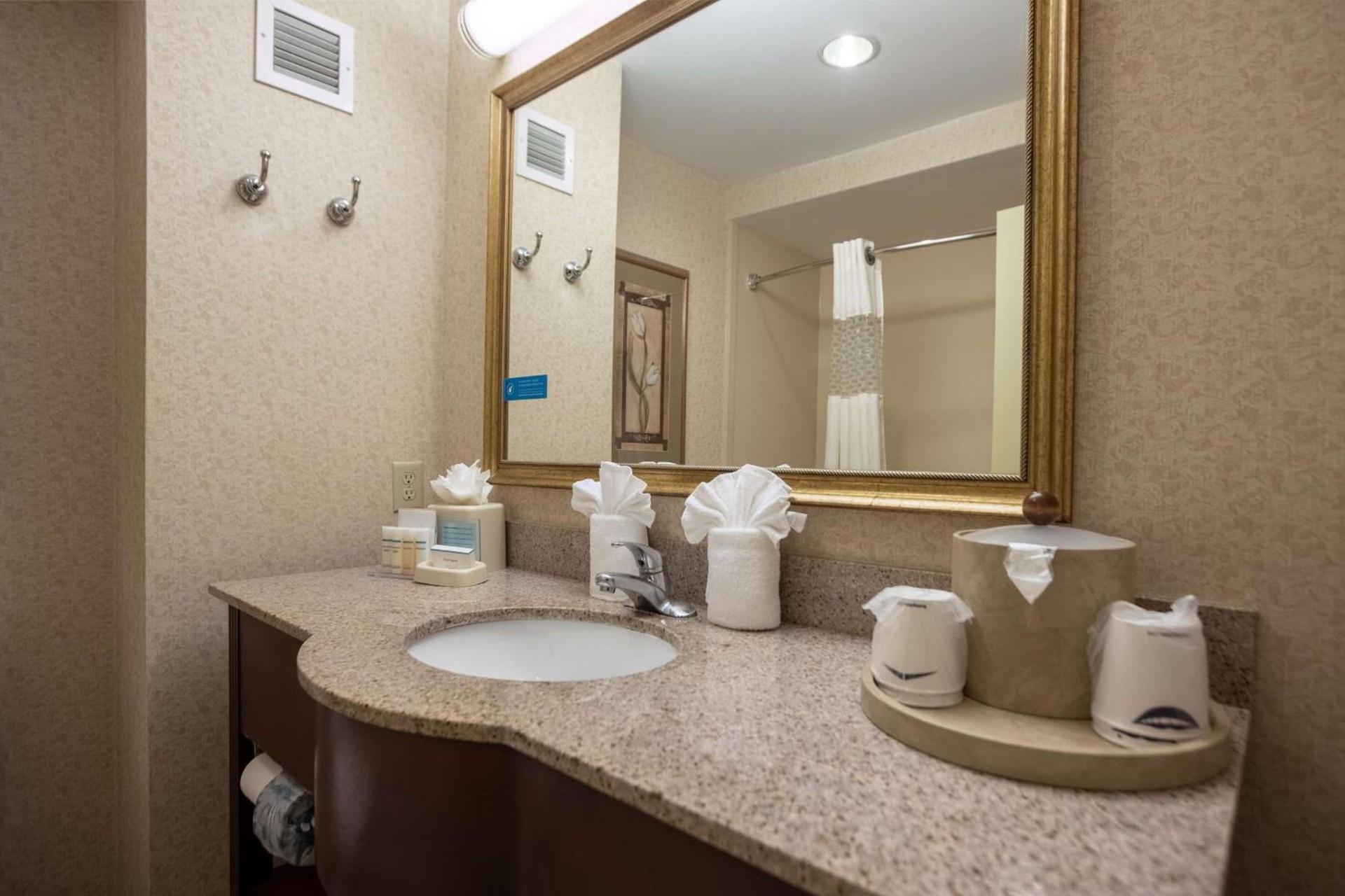 Hampton Inn Hadley-Amherst Area photo 22