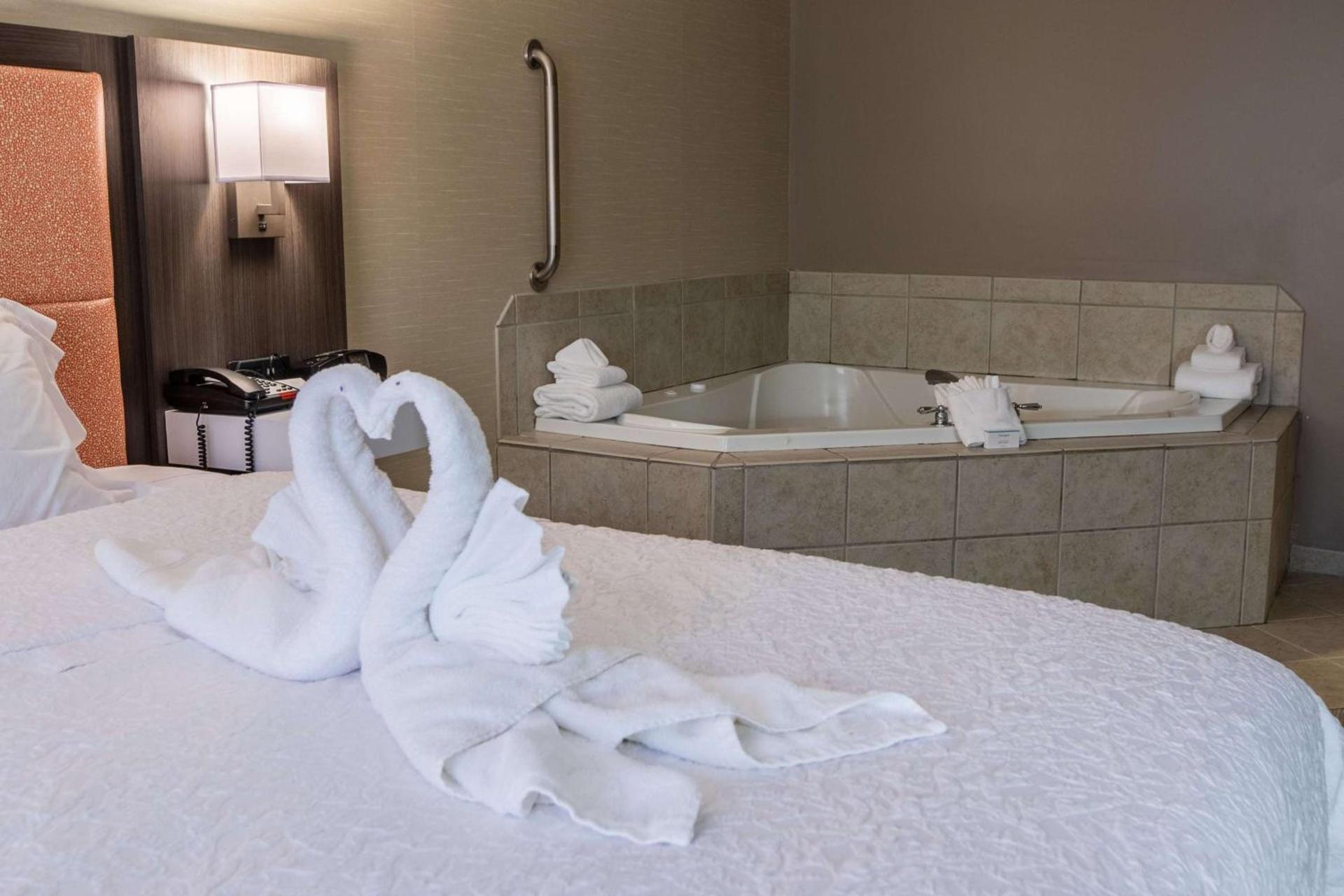 Hampton Inn Hadley-Amherst Area photo 21