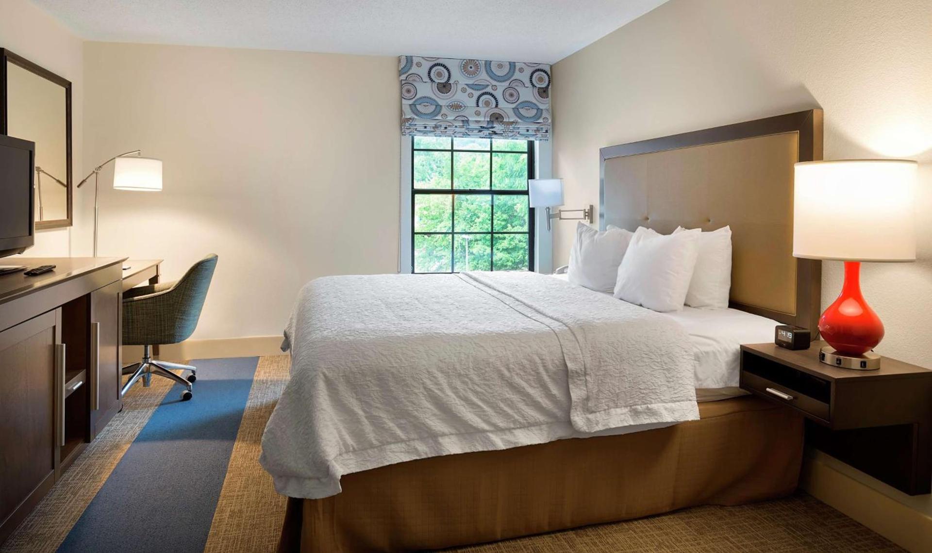 Hampton Inn Helen photo 19