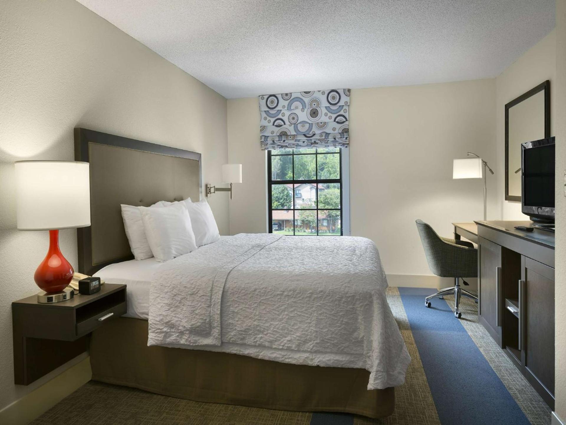 Hampton Inn Helen photo 32