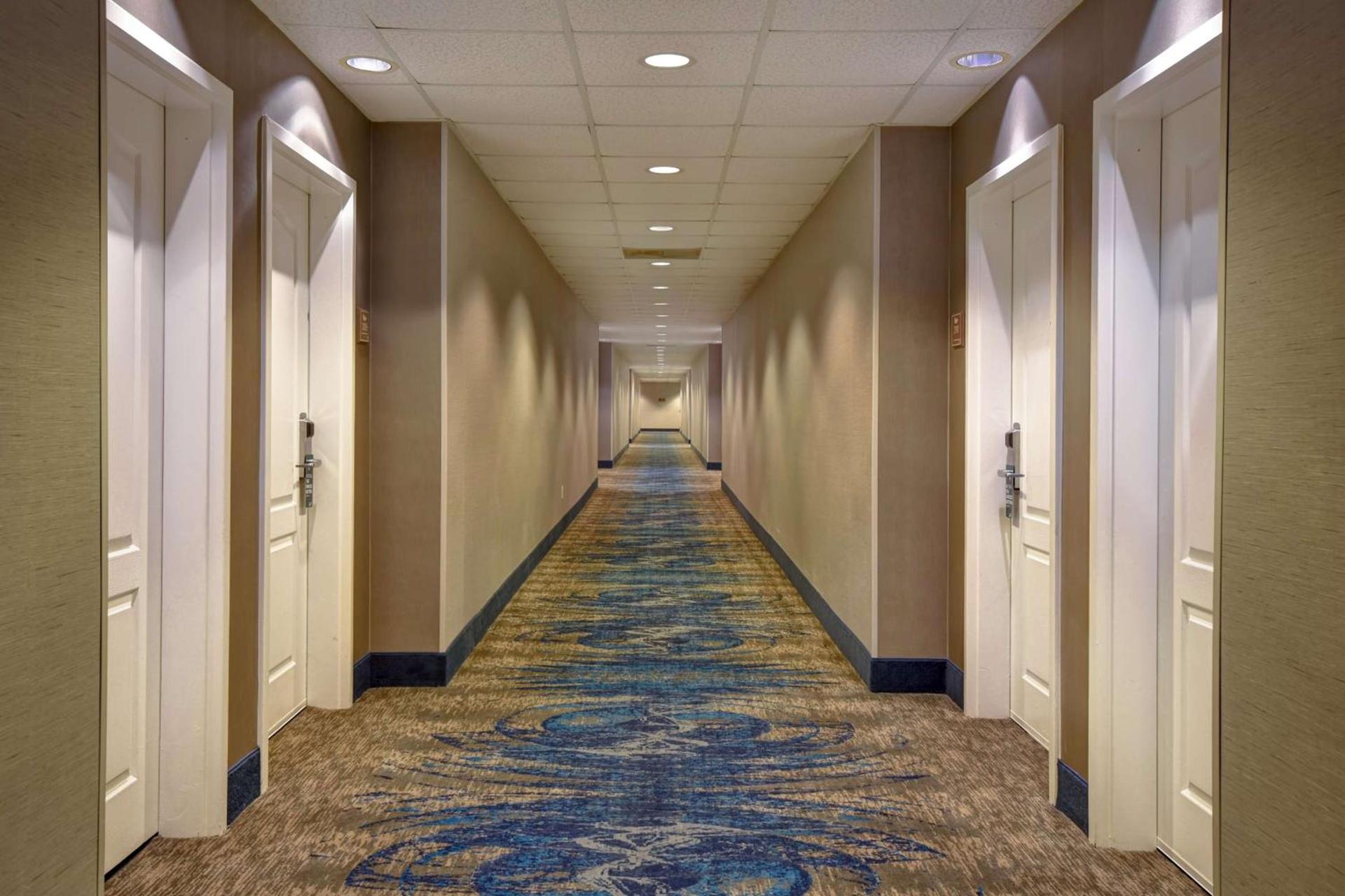 Homewood Suites By Hilton HOU Intercontinental Airport photo 39