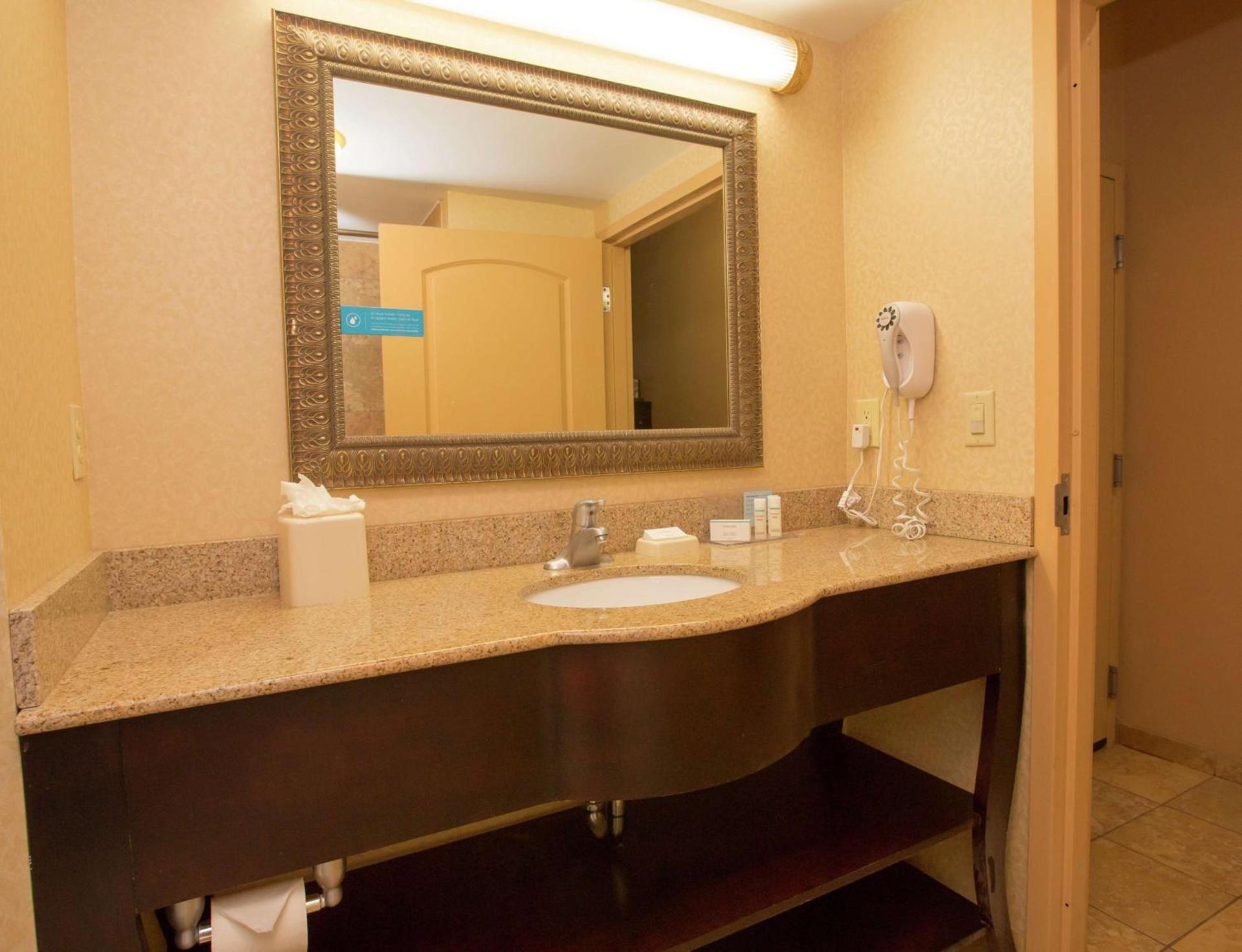 Hampton Inn & Suites Houston Rosenberg photo 50
