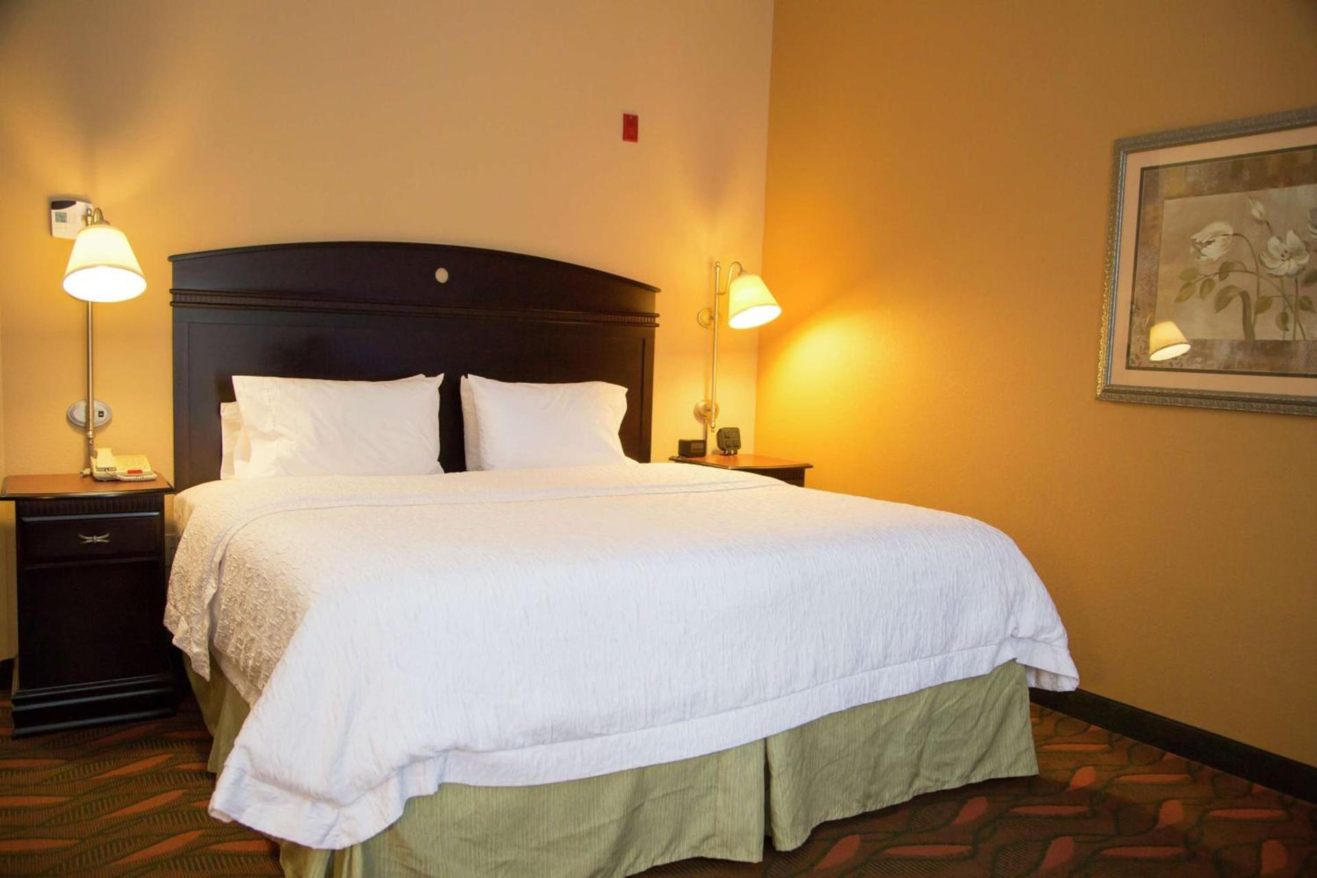 Hampton Inn & Suites Houston Rosenberg photo 49