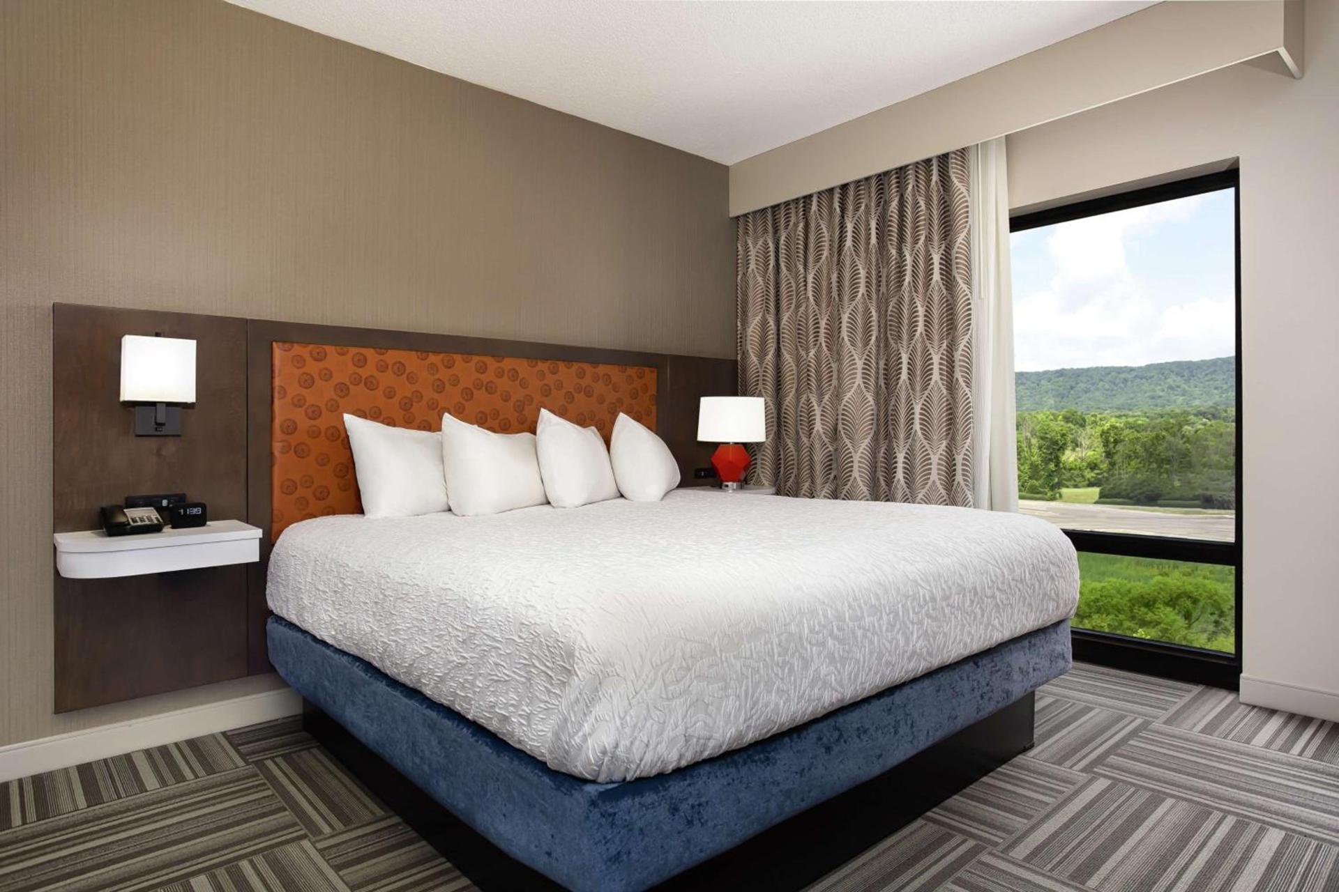 Hampton Inn Kingsport photo 10