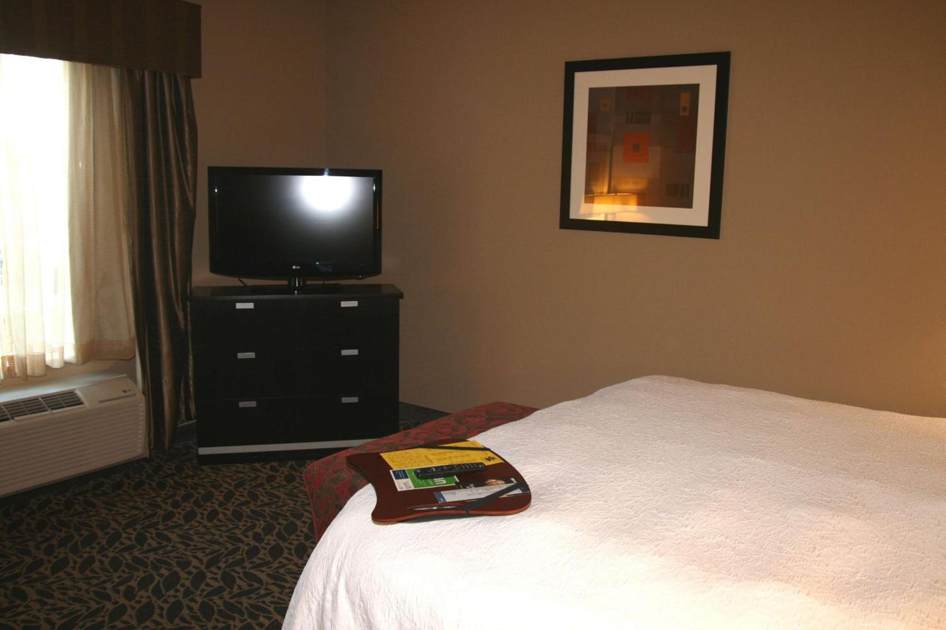 Hampton Inn & Suites Bay City photo 42
