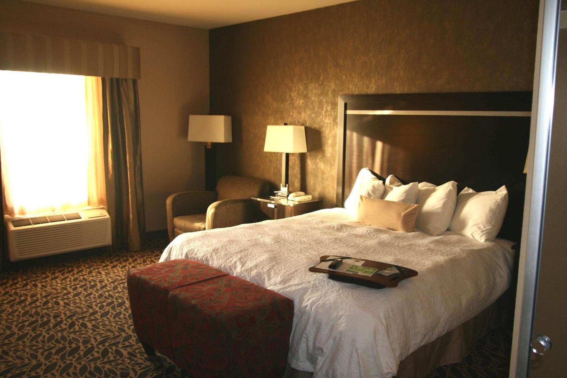 Hampton Inn & Suites Bay City photo 46