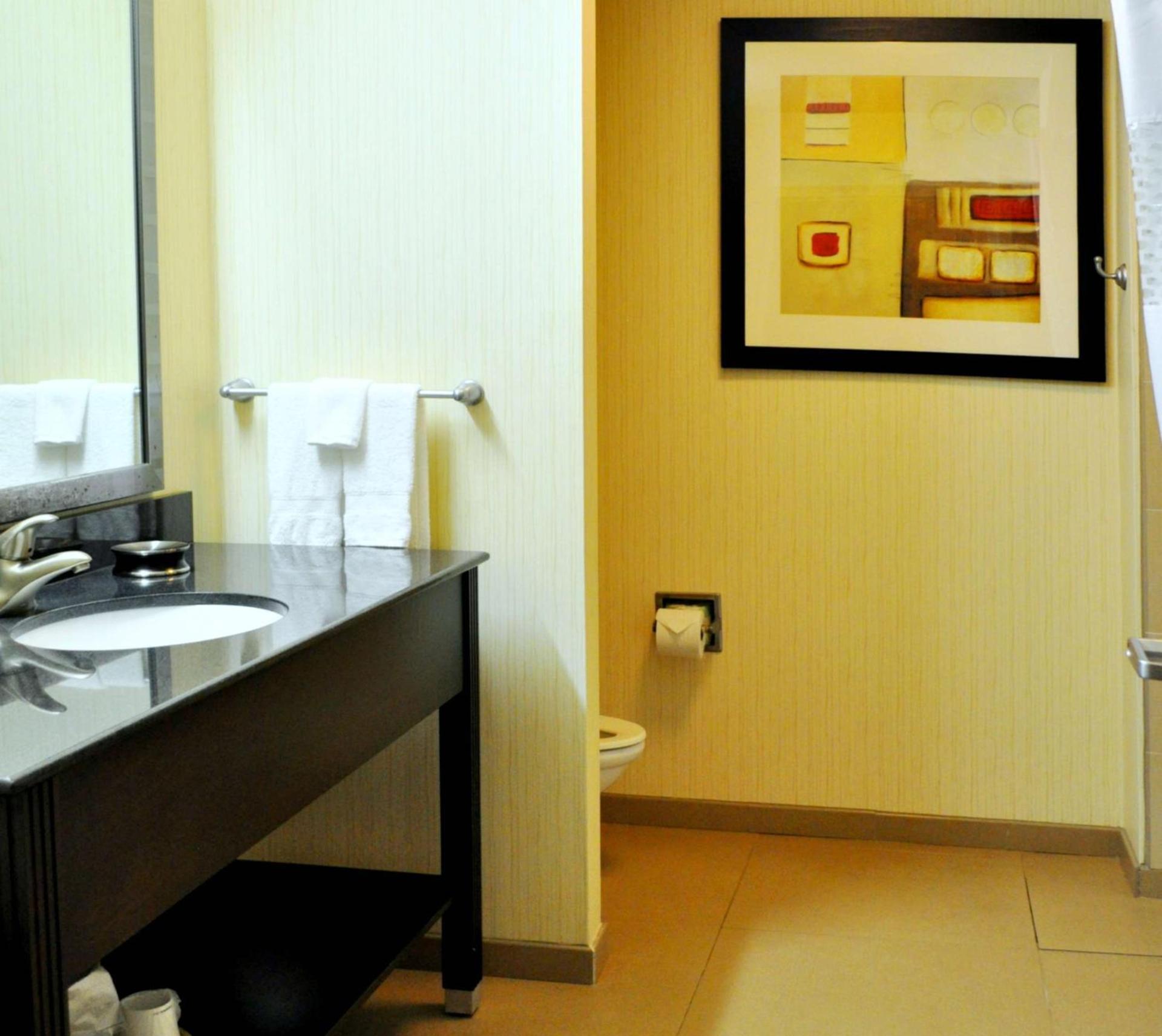 Hampton Inn & Suites Bay City photo 47
