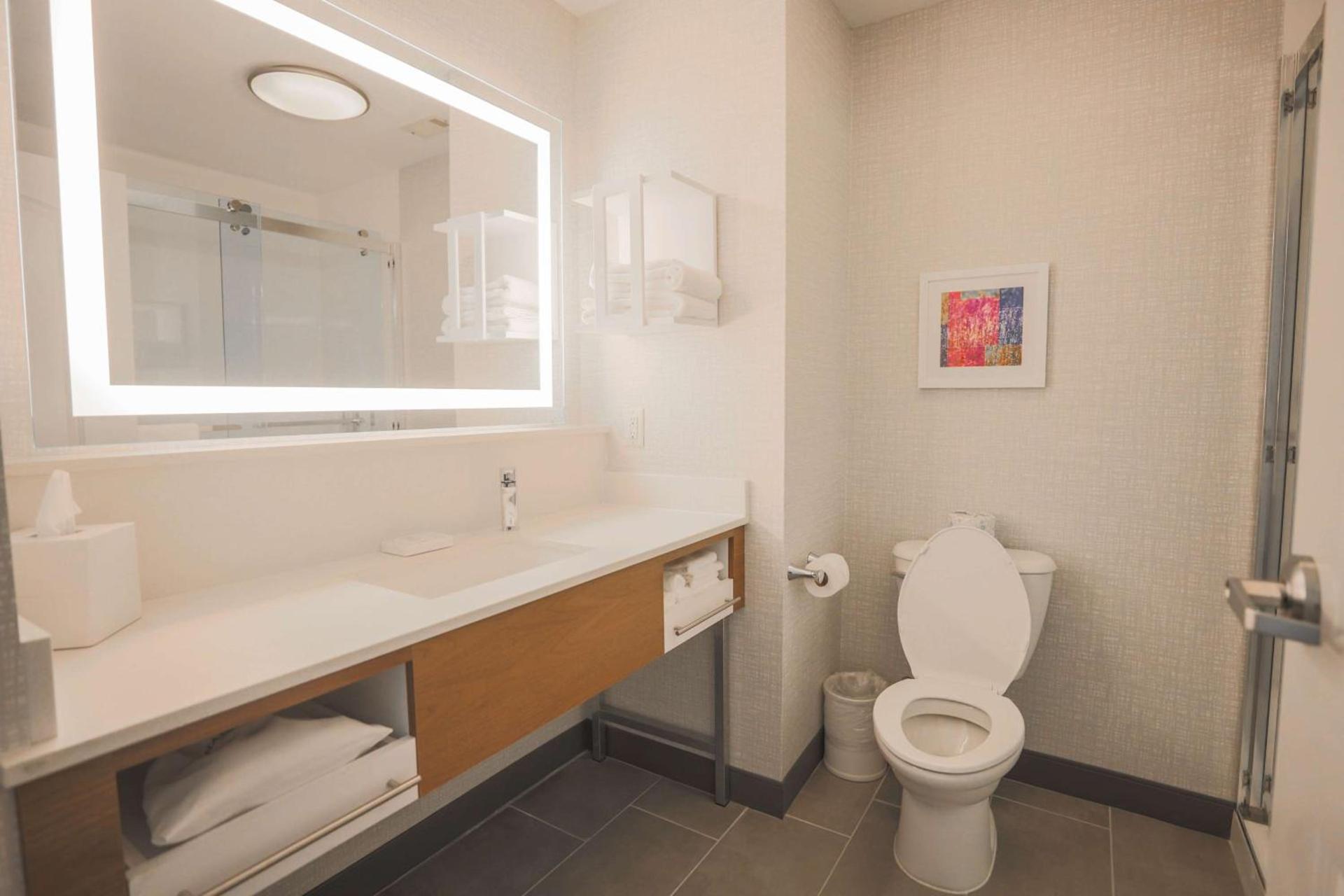 Hampton Inn & Suites Bay City photo 65