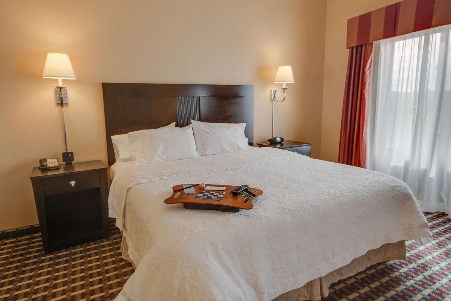 Hampton Inn & Suites Las Cruces I-25 photo 16