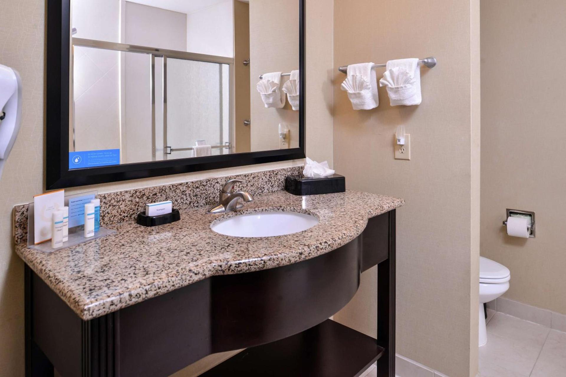 Hampton Inn & Suites Big Spring photo 38